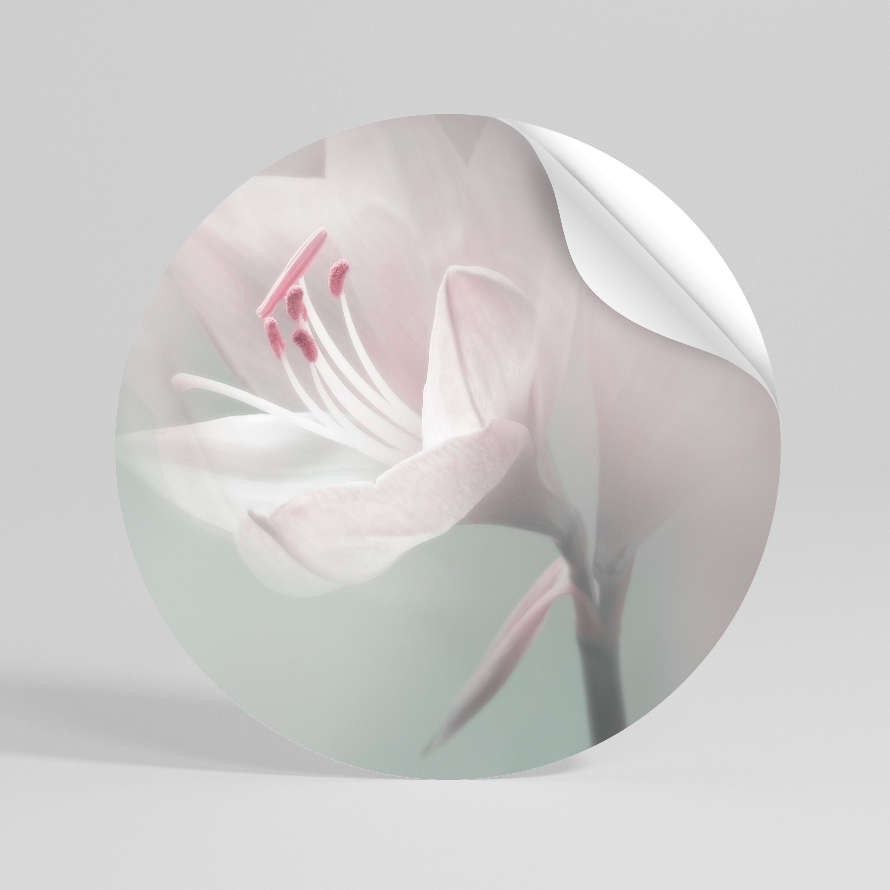 GENTLE LILY Naklejka okrągła