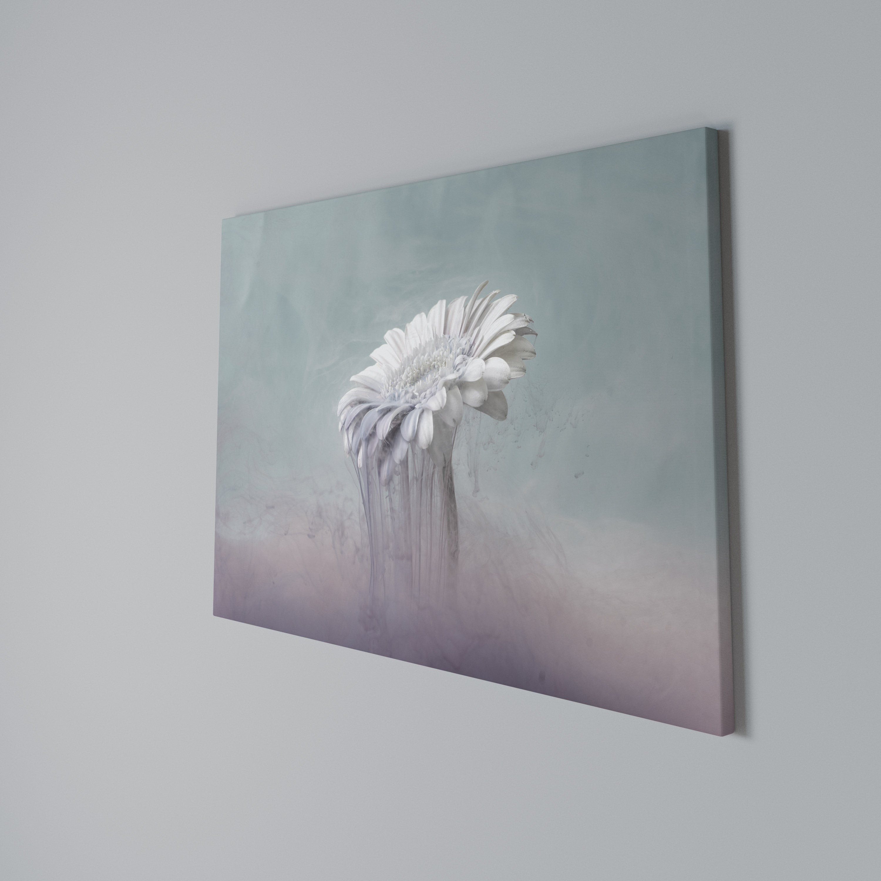 MELTING GERBERA Poziomy obraz na płótnie