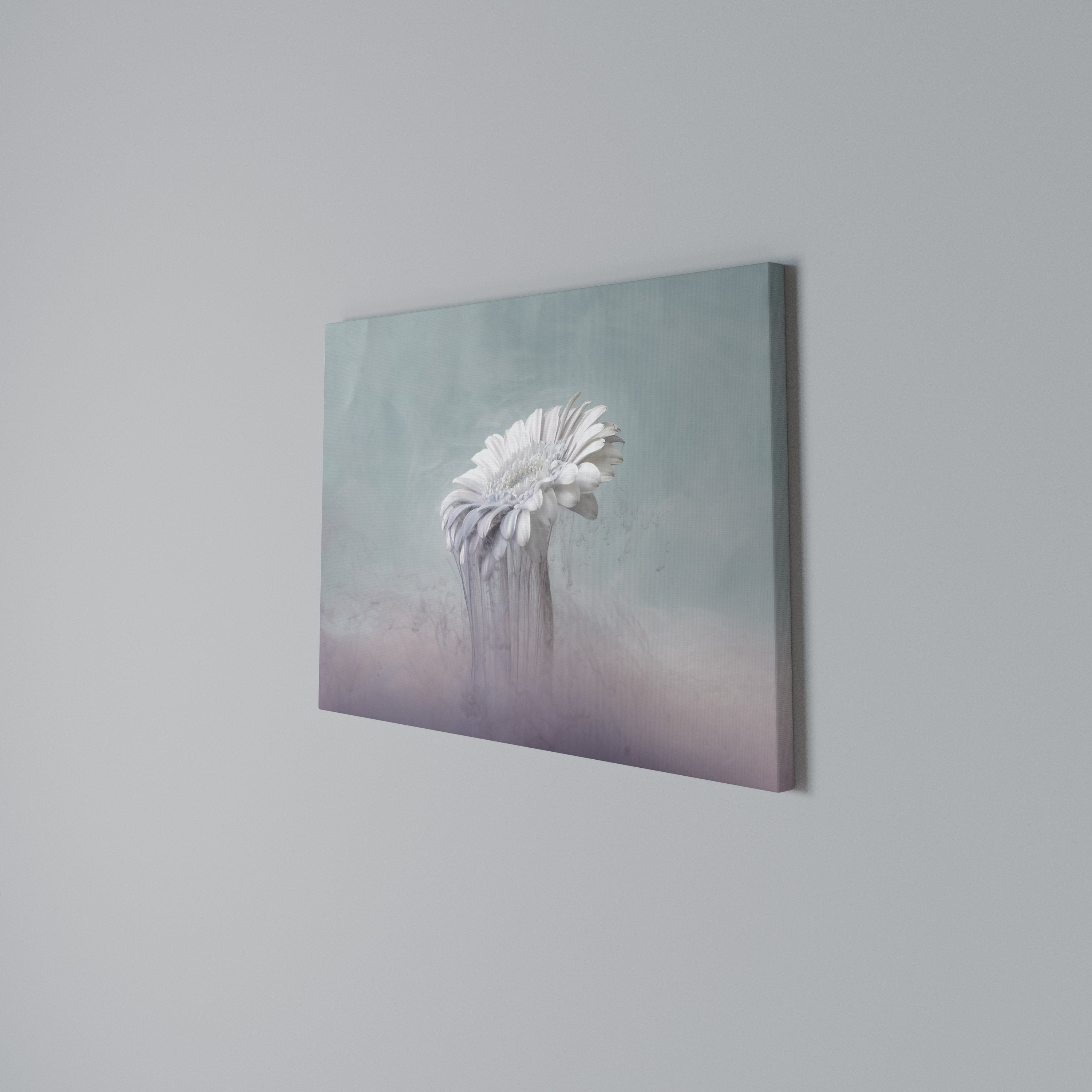 MELTING GERBERA Poziomy obraz na płótnie