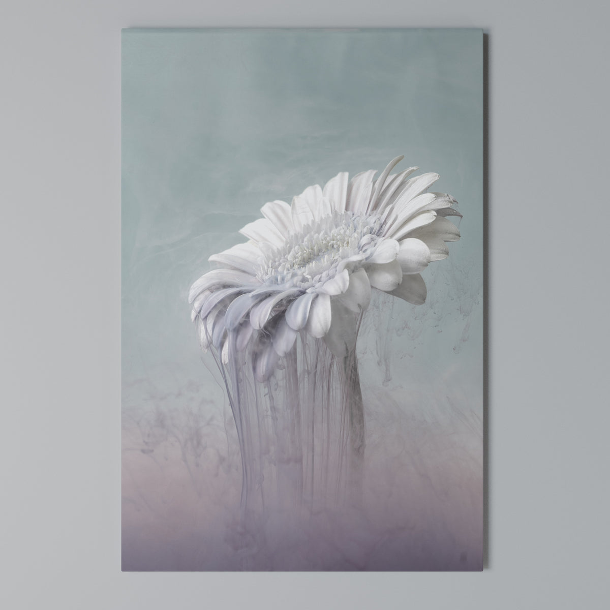 MELTING GERBERA Pionowy obraz na płótnie