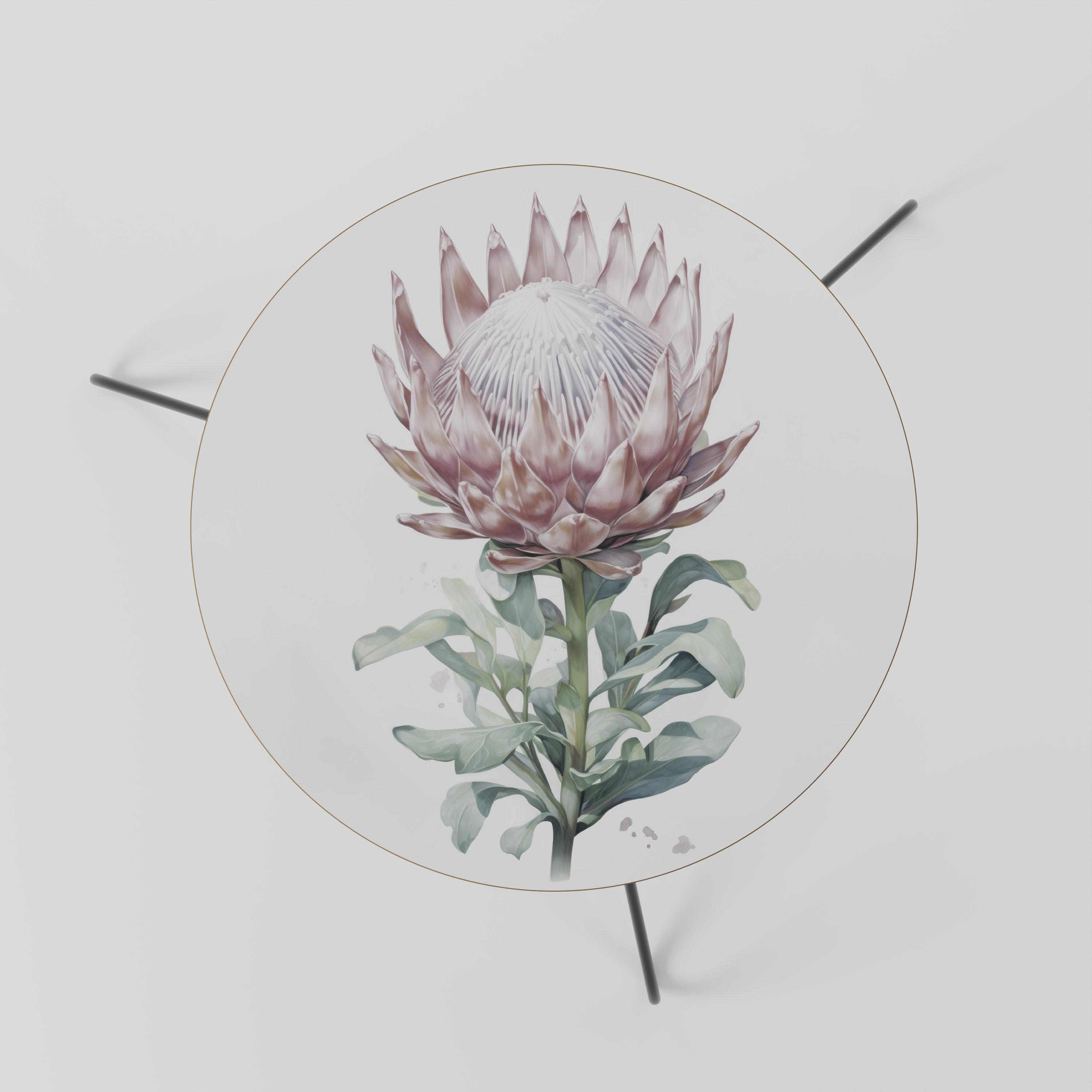 ROYAL PROTEA Stolik kawowy mały