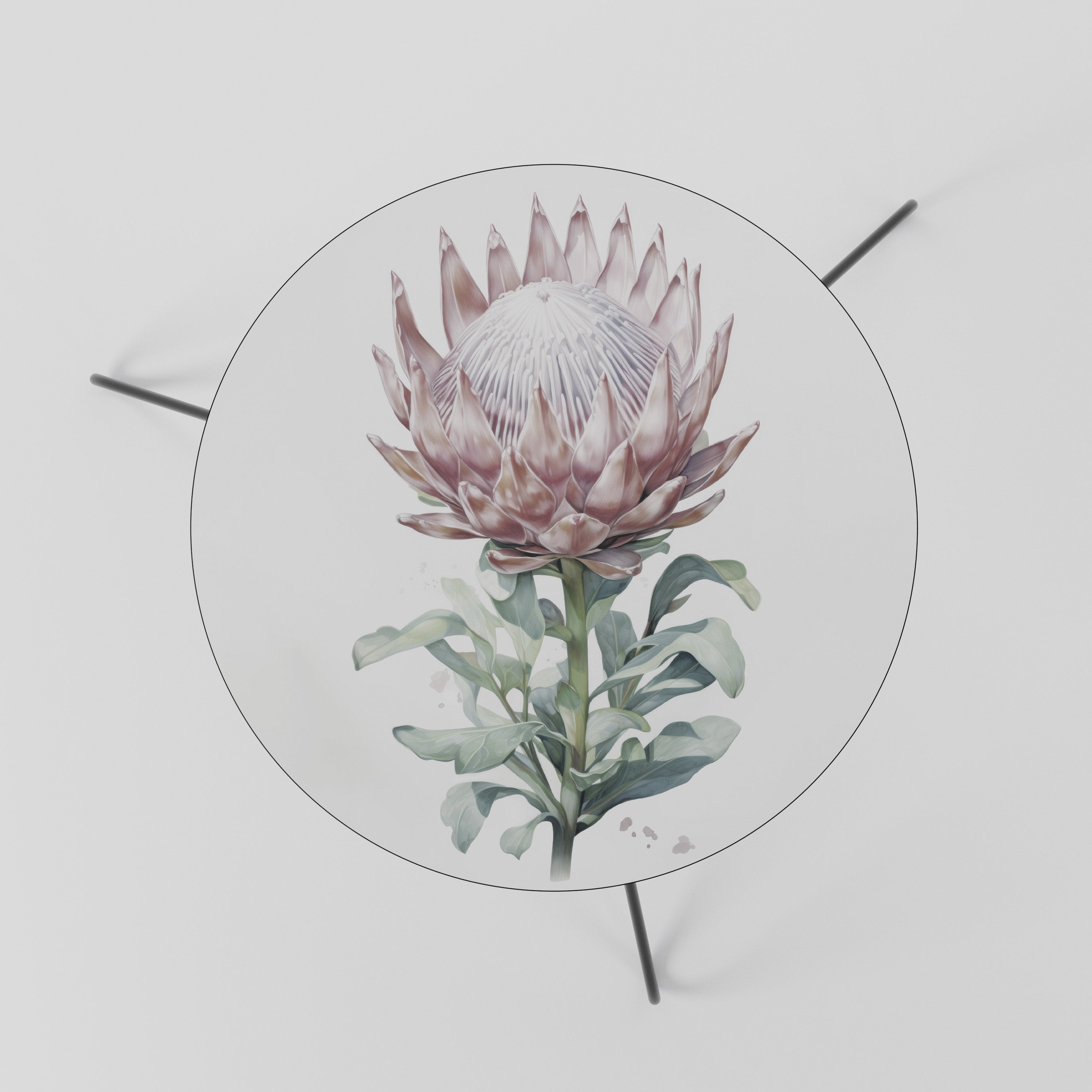 ROYAL PROTEA Stolik kawowy mały