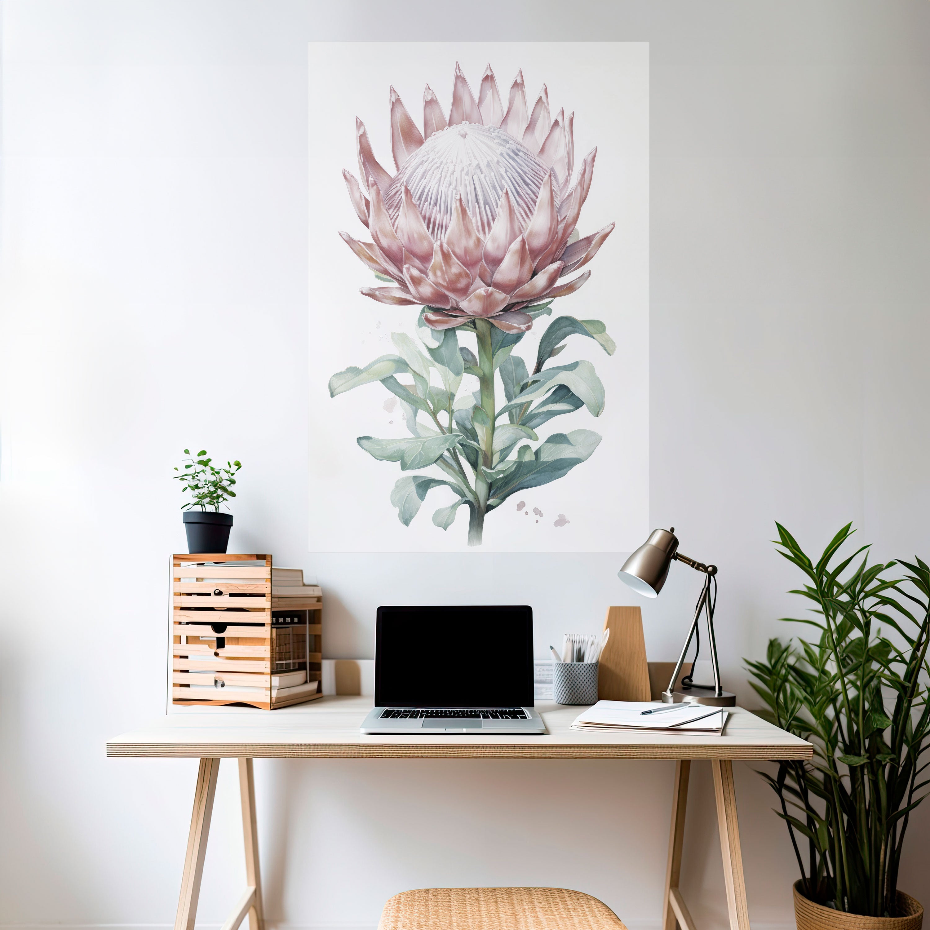 ROYAL PROTEA Naklejka/Plakat pionowy