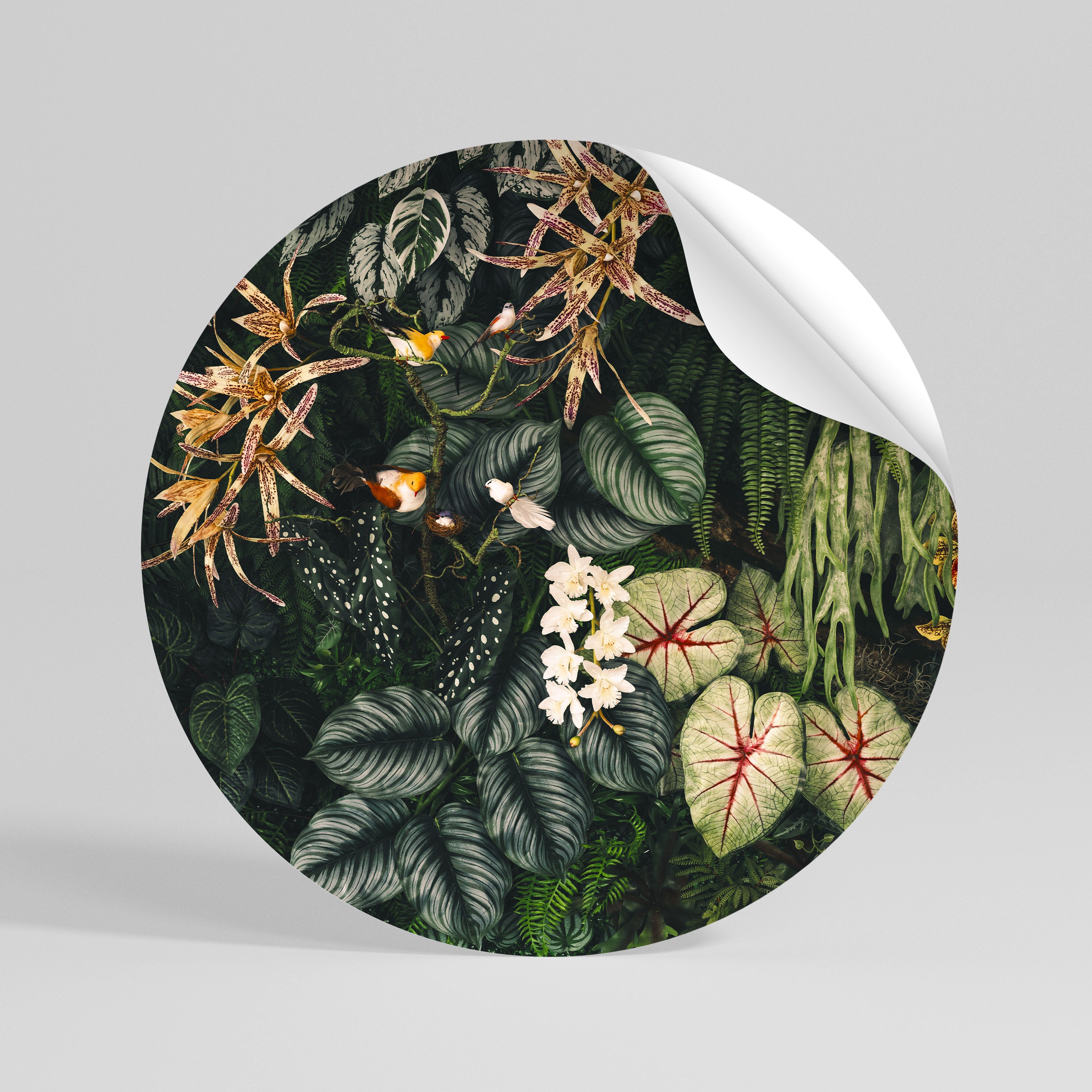 SILENT WILDERNESS Naklejka - okrągła