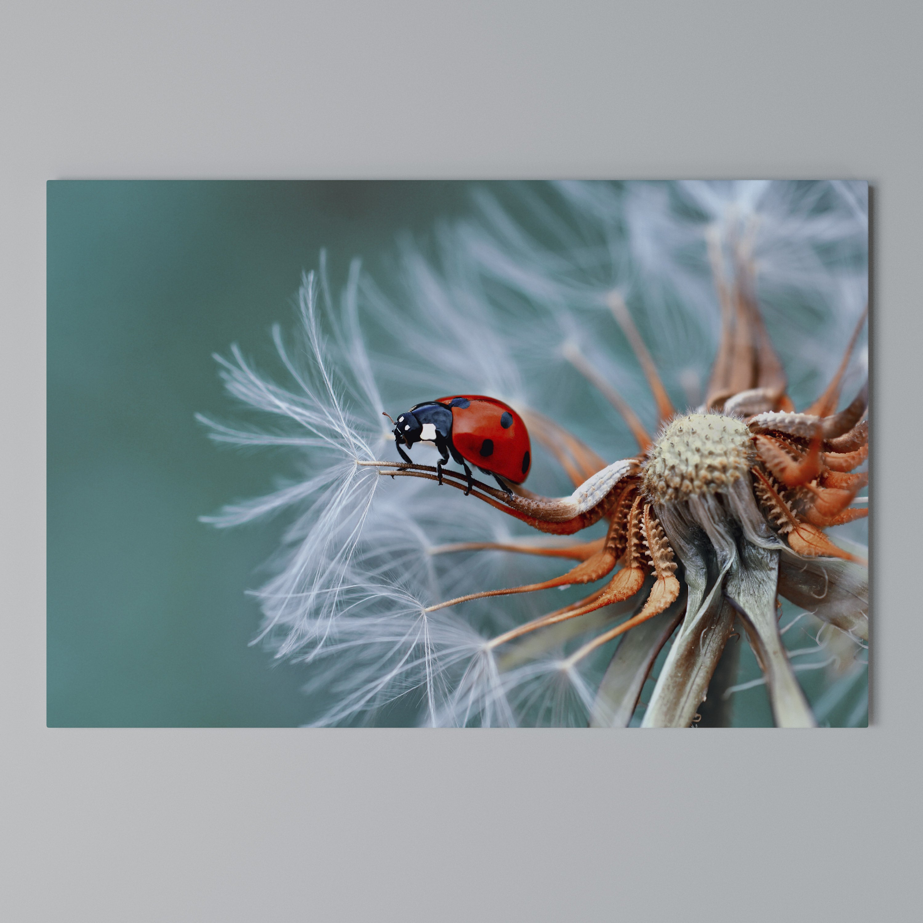 LADYBUG BALANCE Poziomy obraz na płótnie