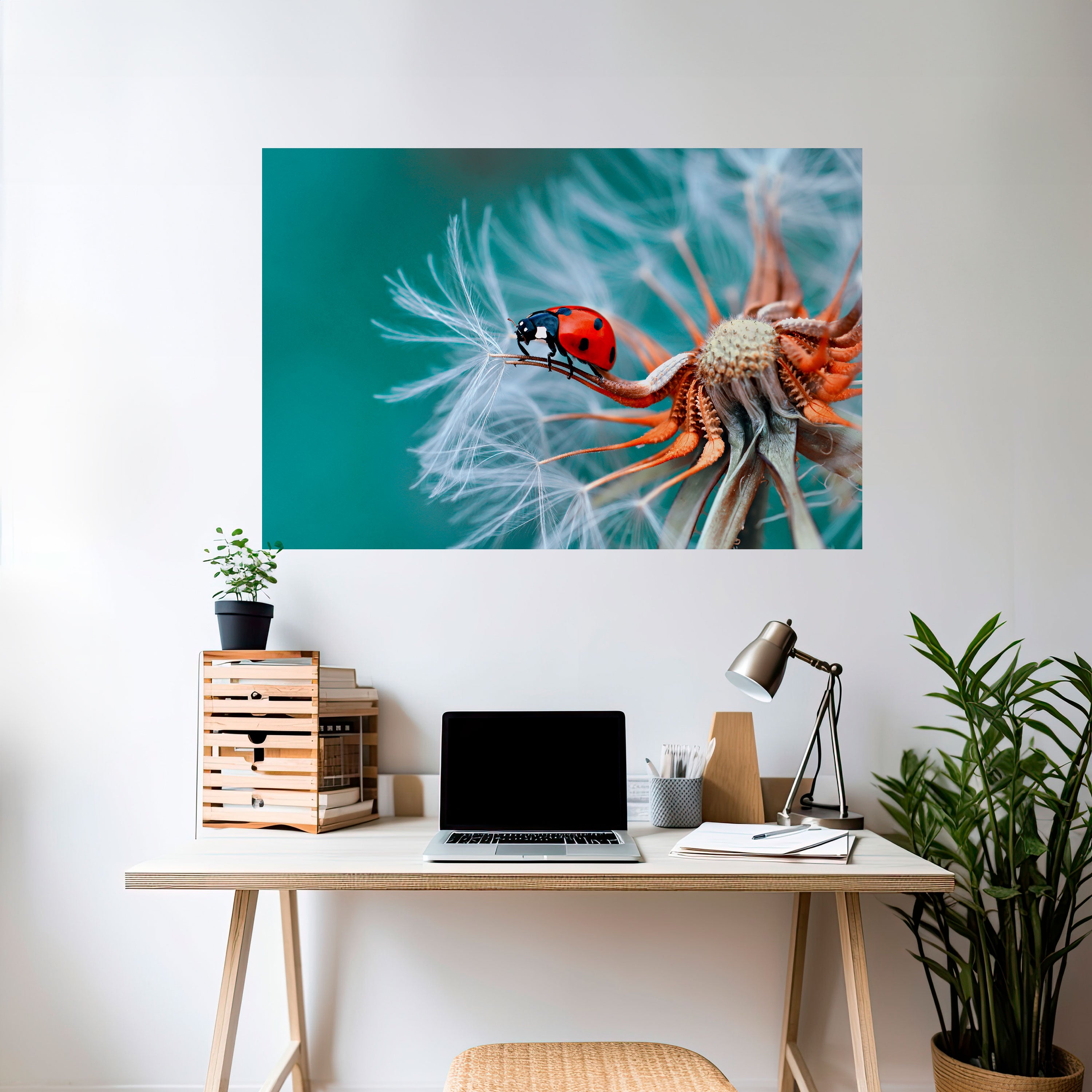 LADYBUG BALANCE Naklejka/Plakat poziomy