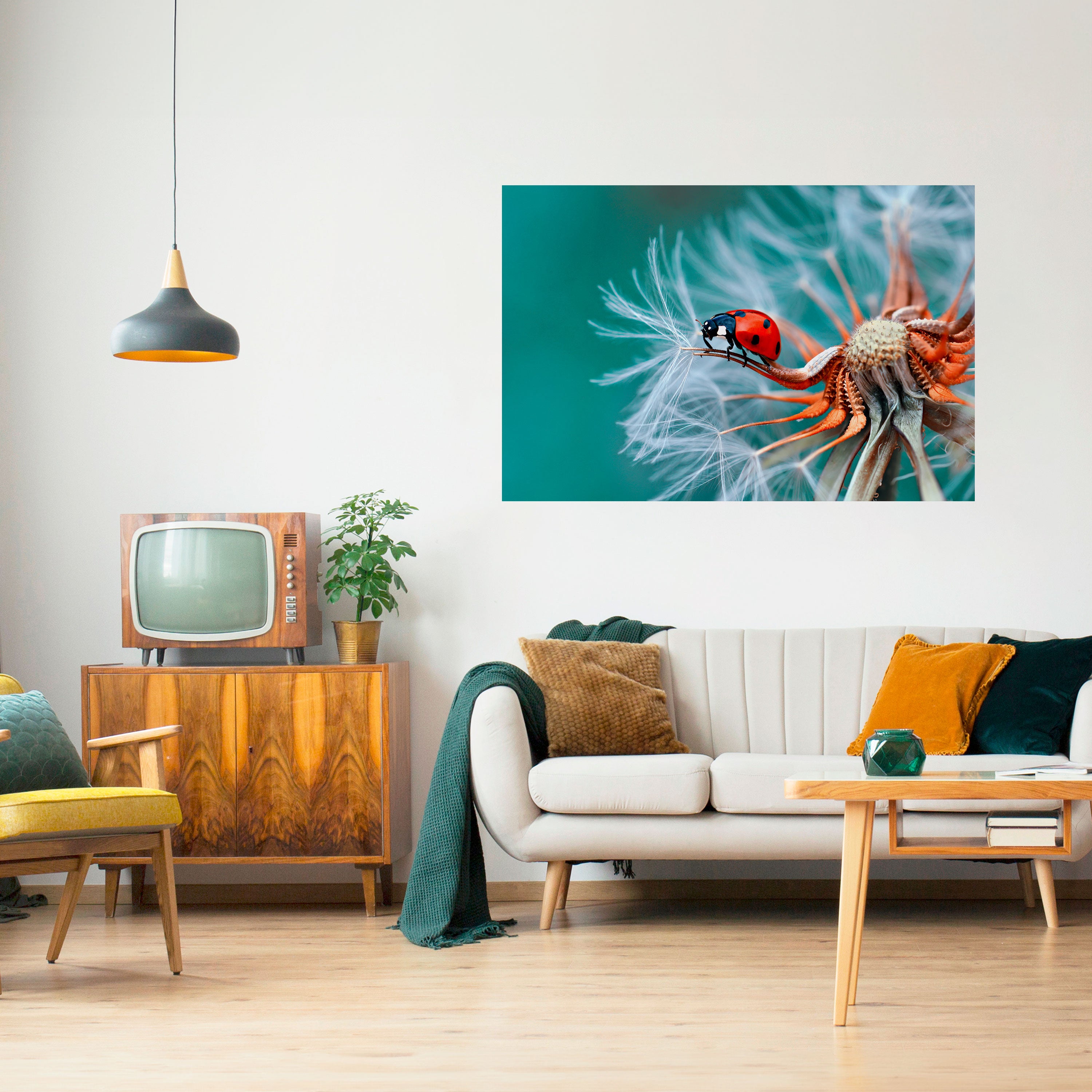 LADYBUG BALANCE Naklejka/Plakat poziomy