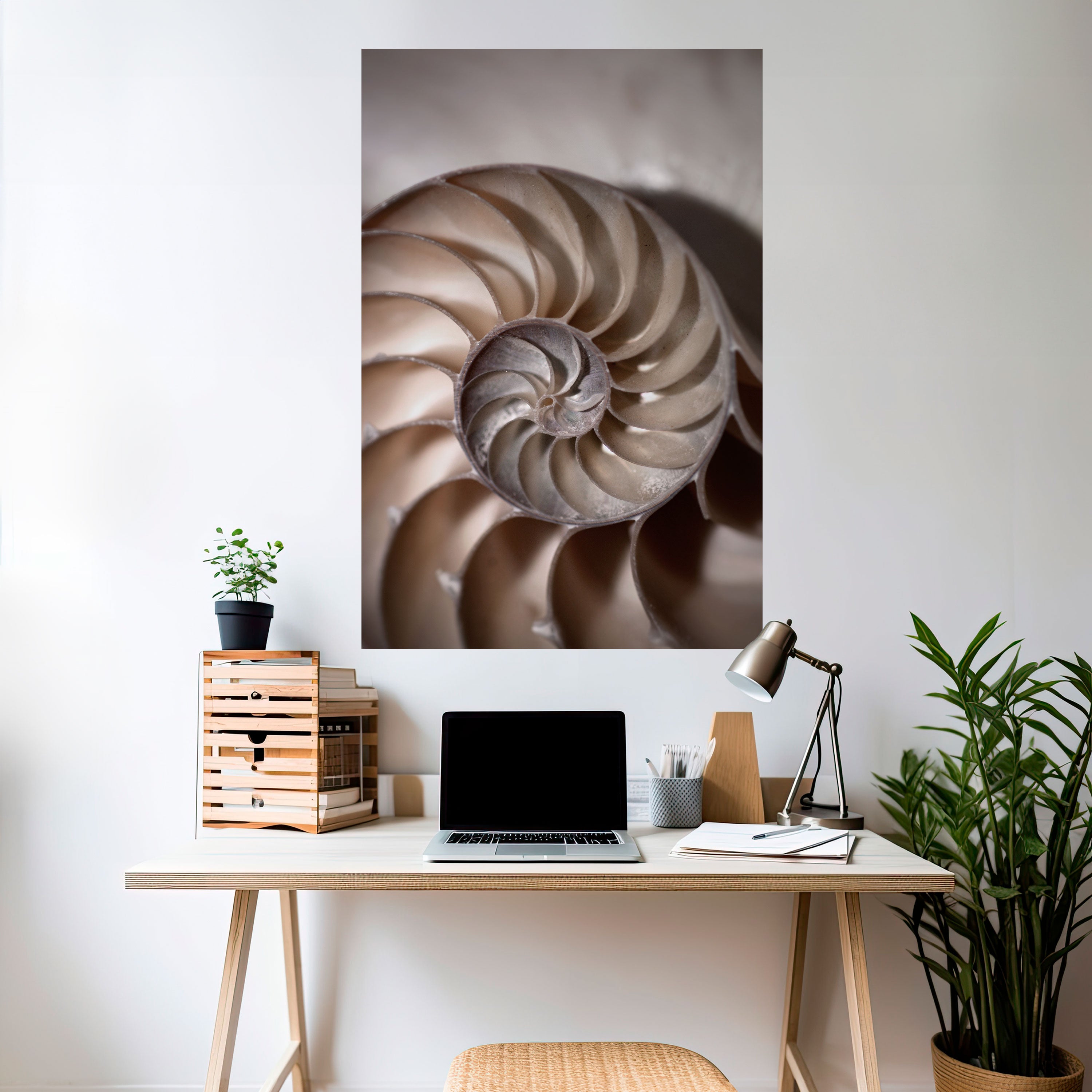 WHISPERS OF SHELLS Naklejka/Plakat pionowy