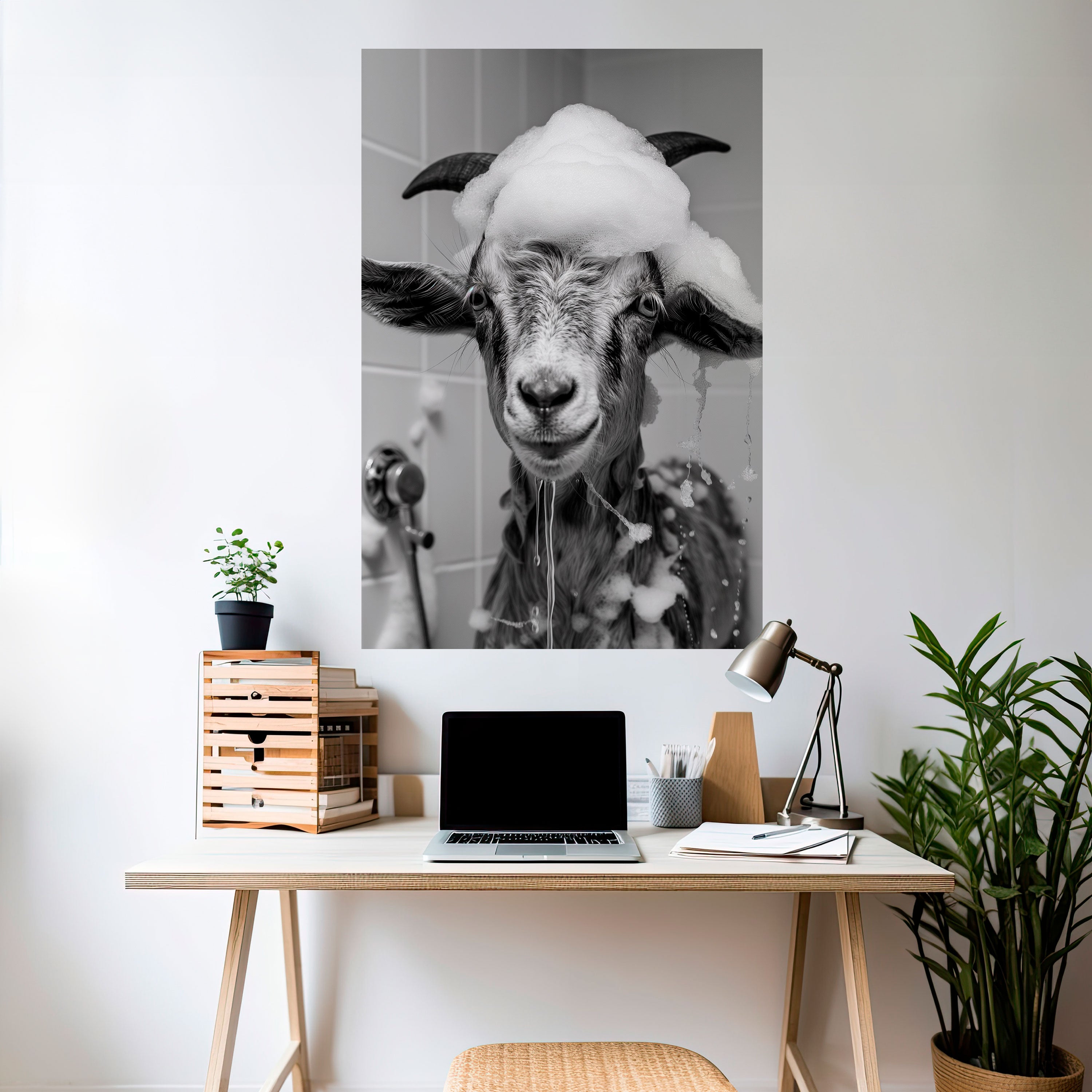 SOAPY GOAT GIGGLES Naklejka/Plakat pionowy