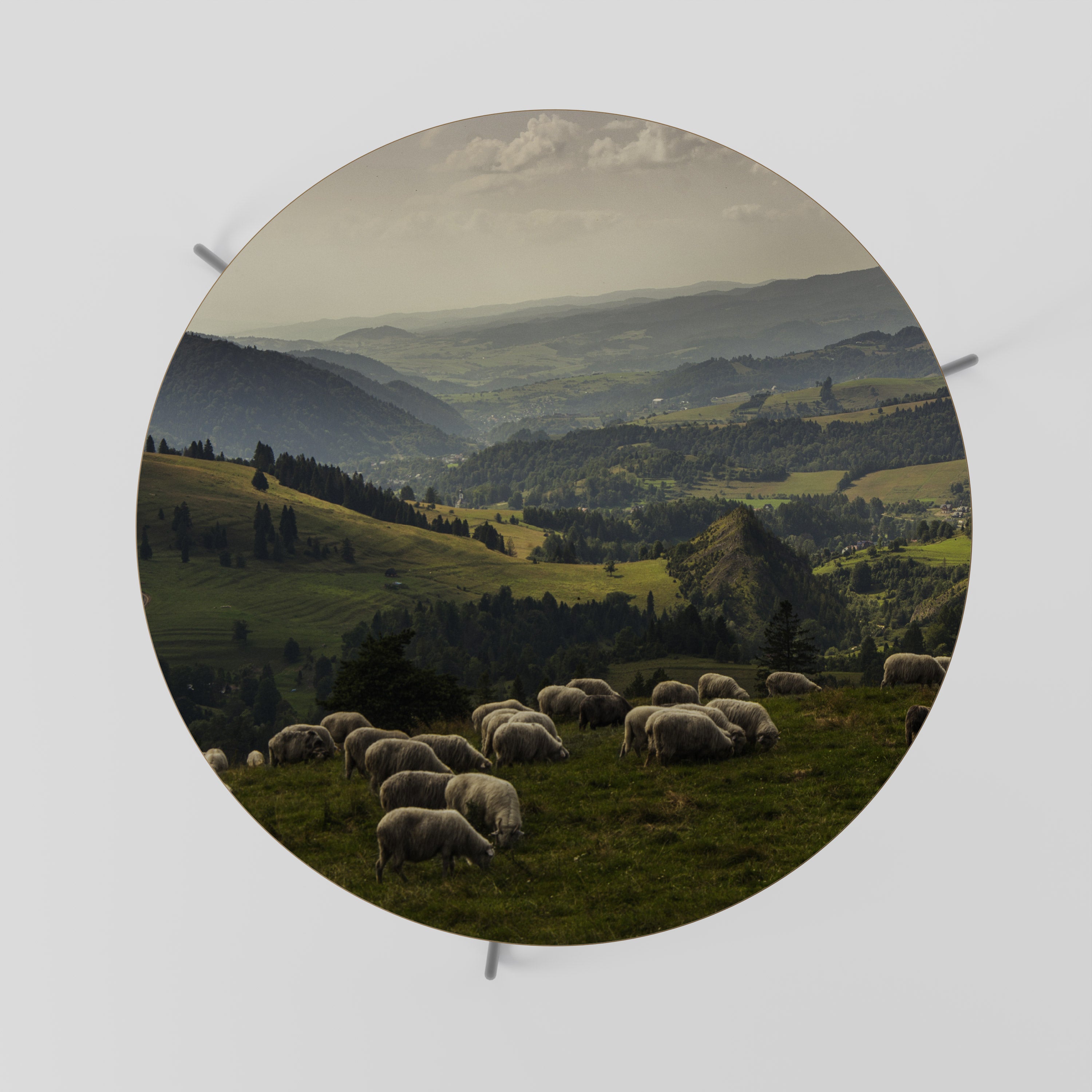 SHEEP IN SERENITY Stolik kawowy duży