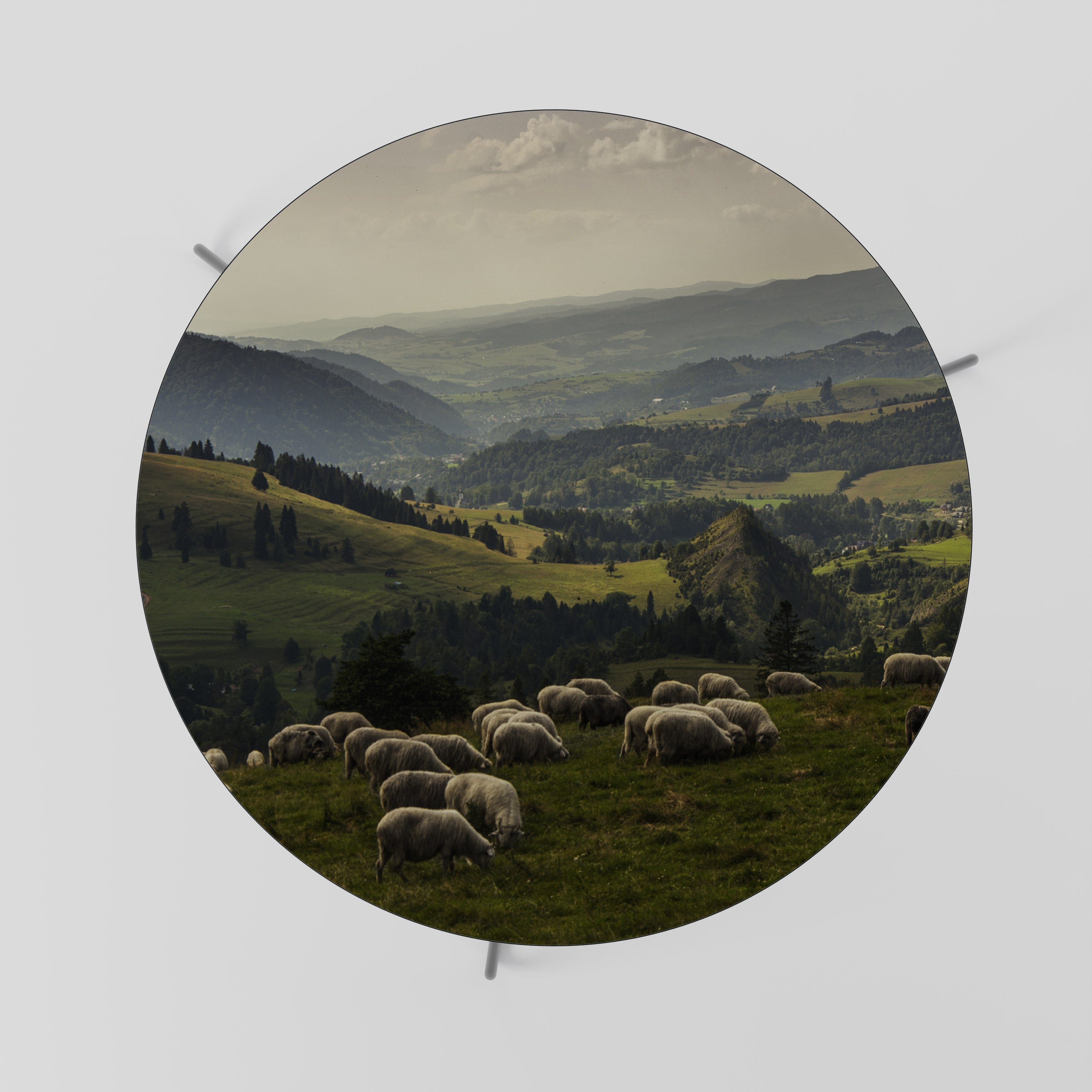 SHEEP IN SERENITY Stolik kawowy duży