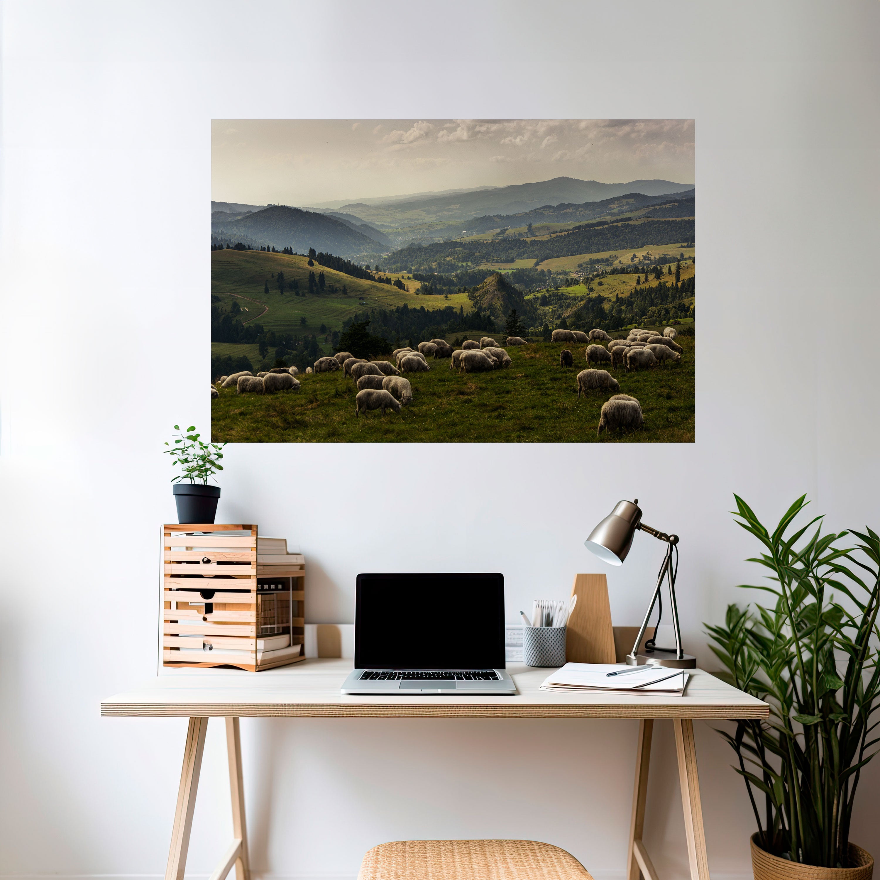 SHEEP IN SERENITY Naklejka/Plakat poziomy