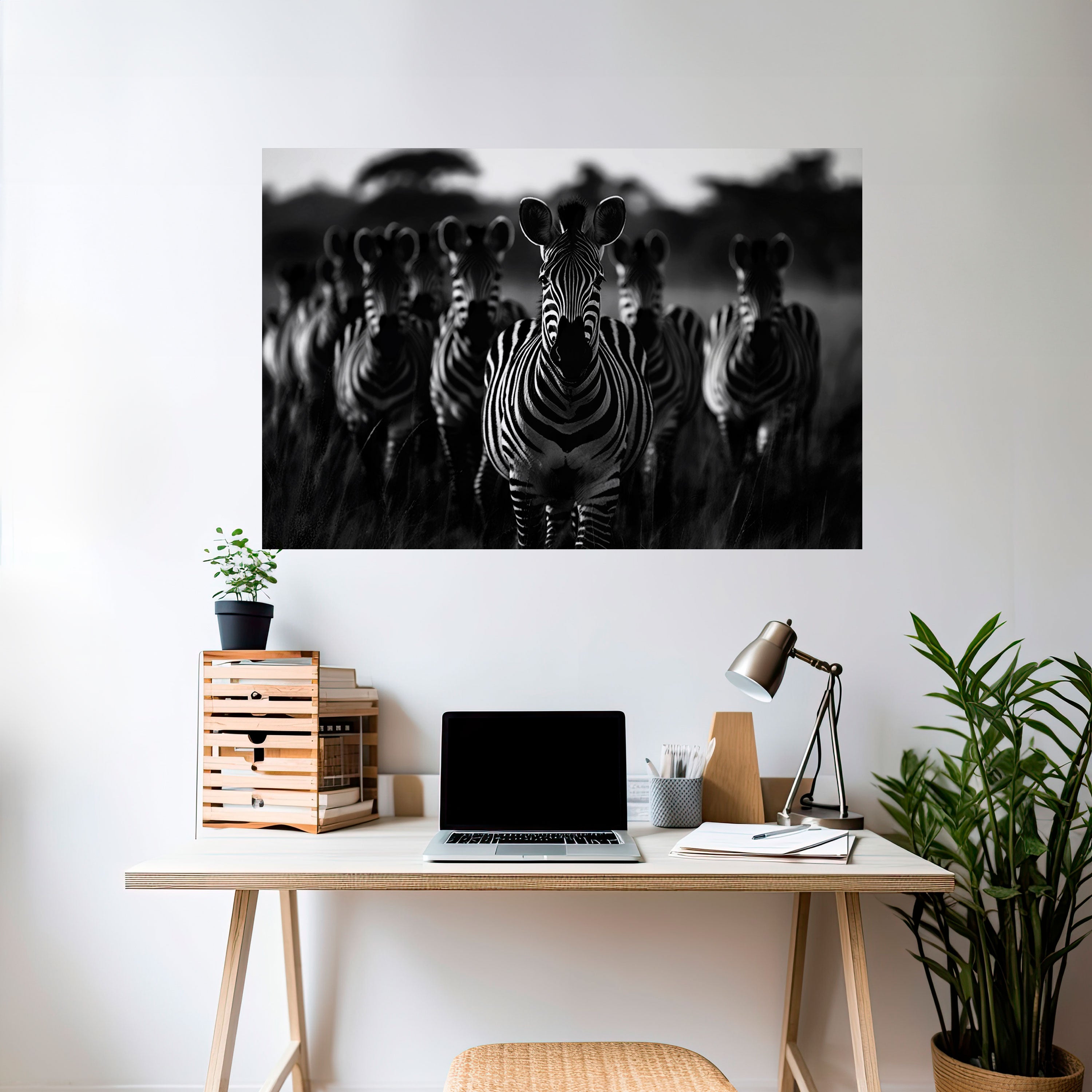 STRIPED SYMPHONY SAGA Naklejka/Plakat poziomy