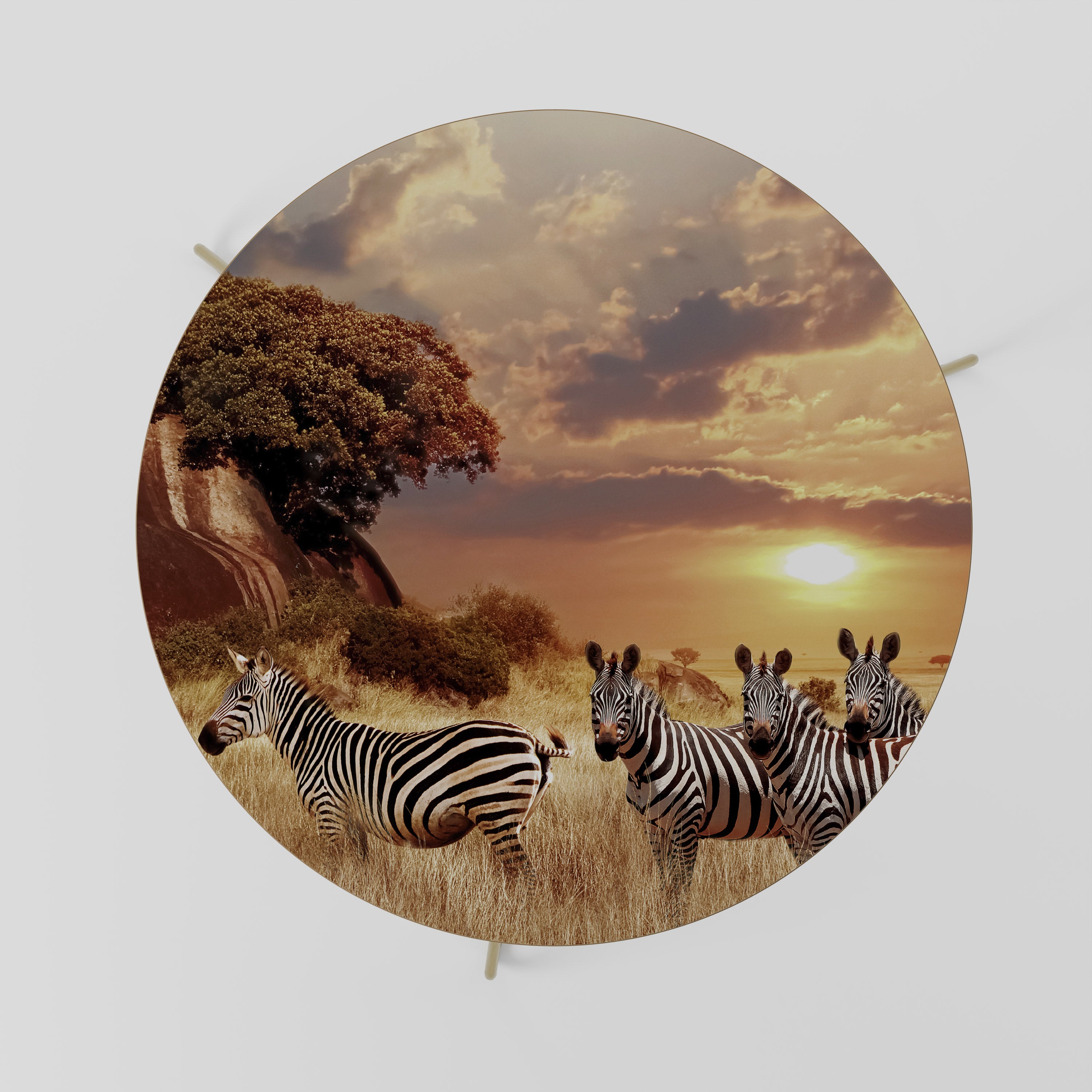 ZEBRA SUNSET SERENADE Stolik kawowy duży