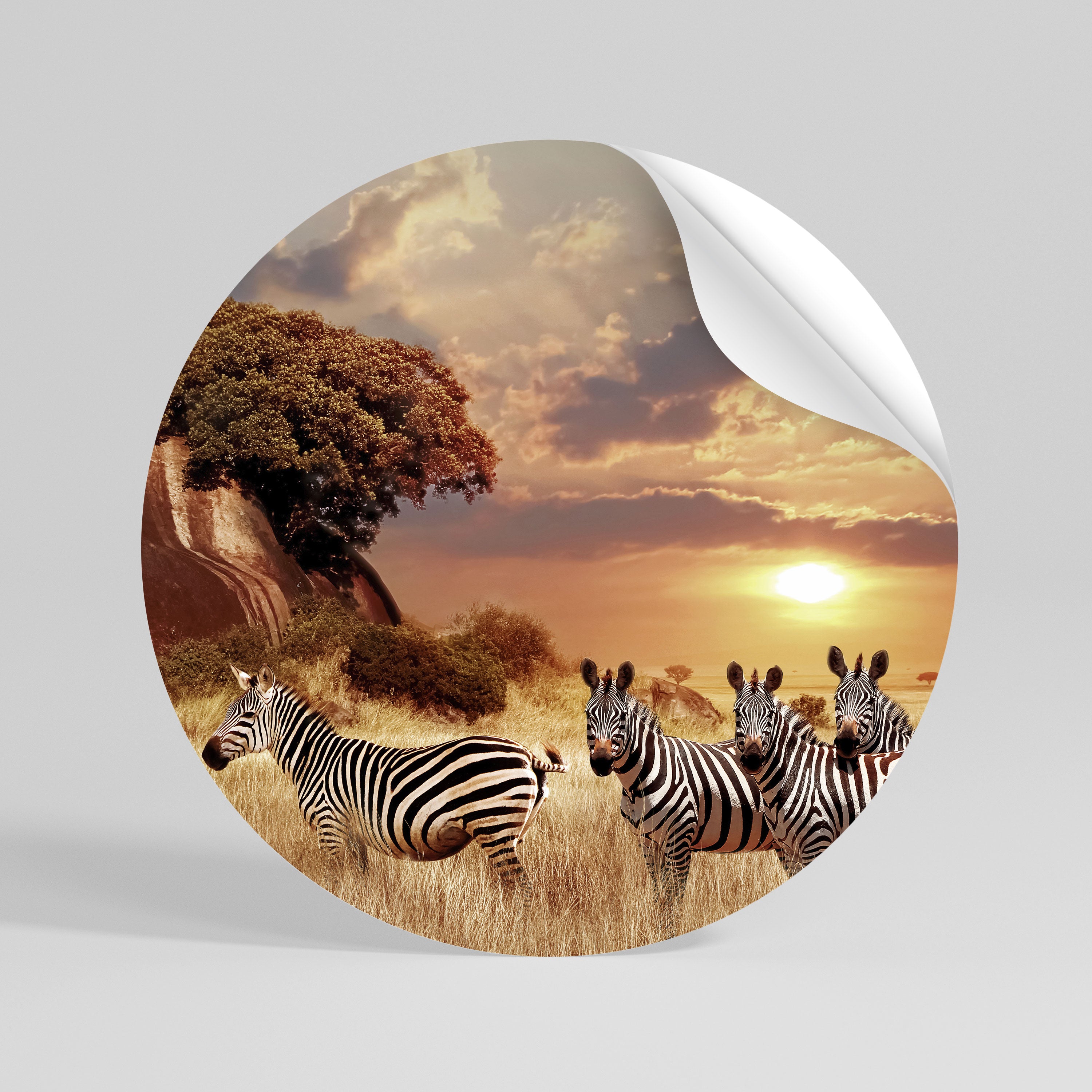 ZEBRA SUNSET SERENADE Naklejka - okrągła