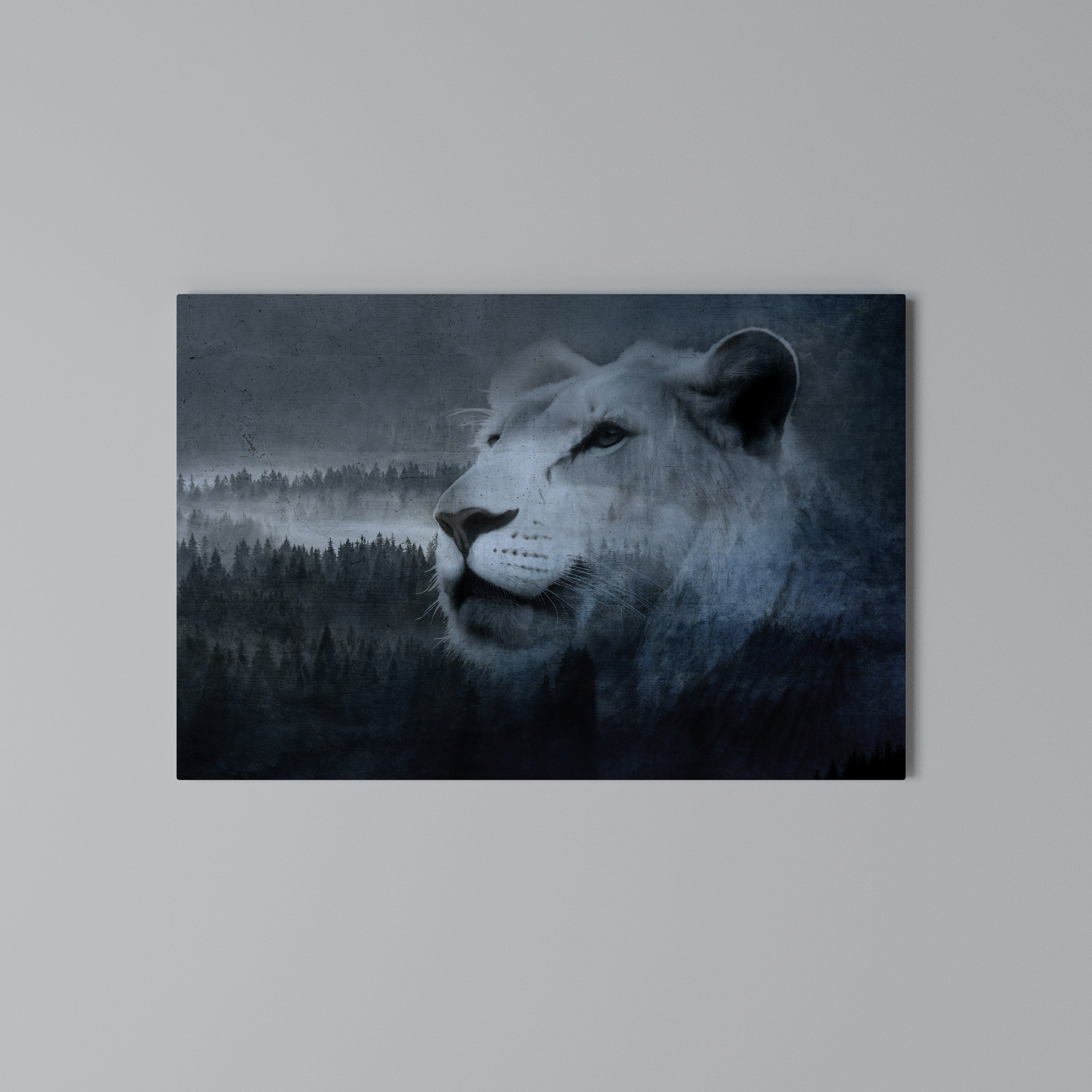 LION'S HARMONY IN BLUE Poziomy obraz na płótnie