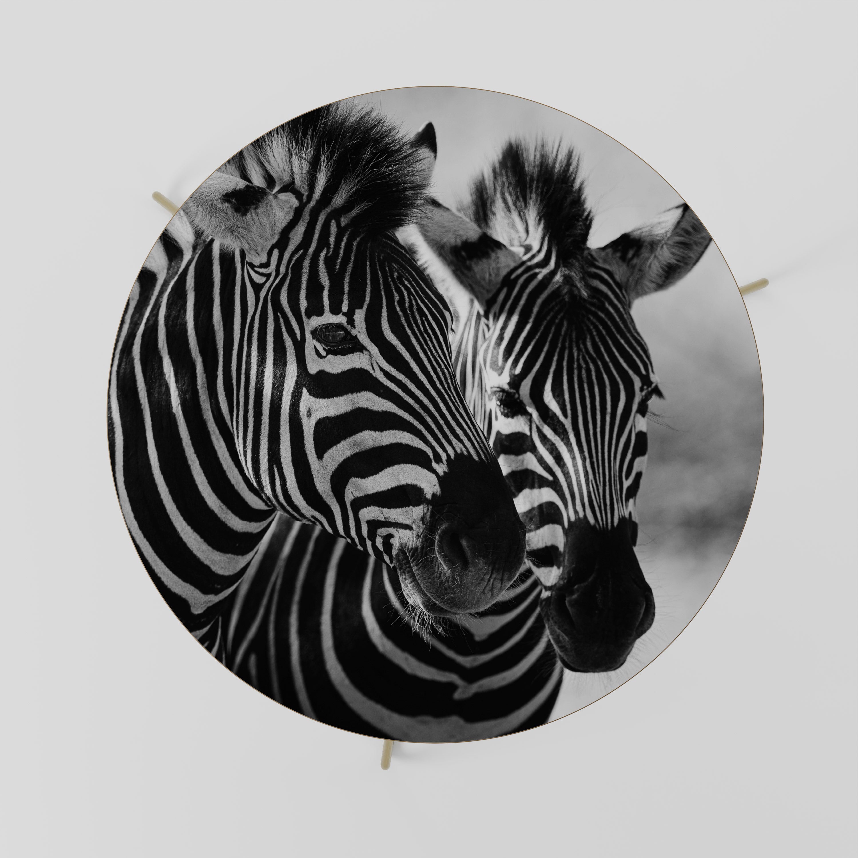 STRIPED SYMPHONY Stolik kawowy duży