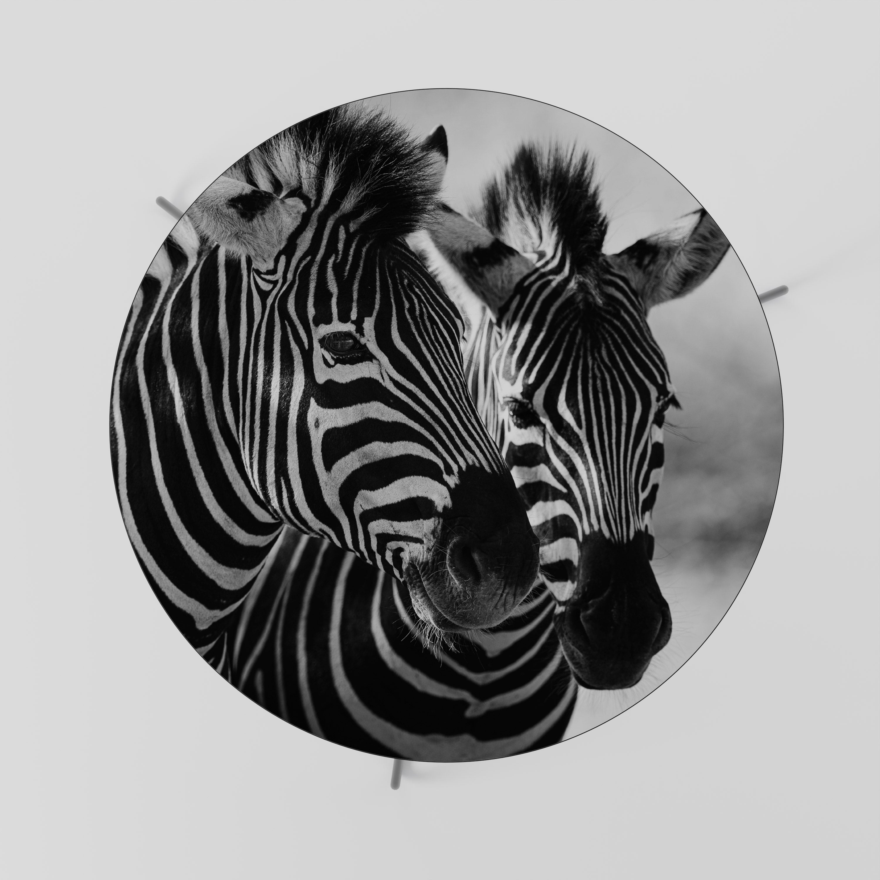 STRIPED SYMPHONY Stolik kawowy duży