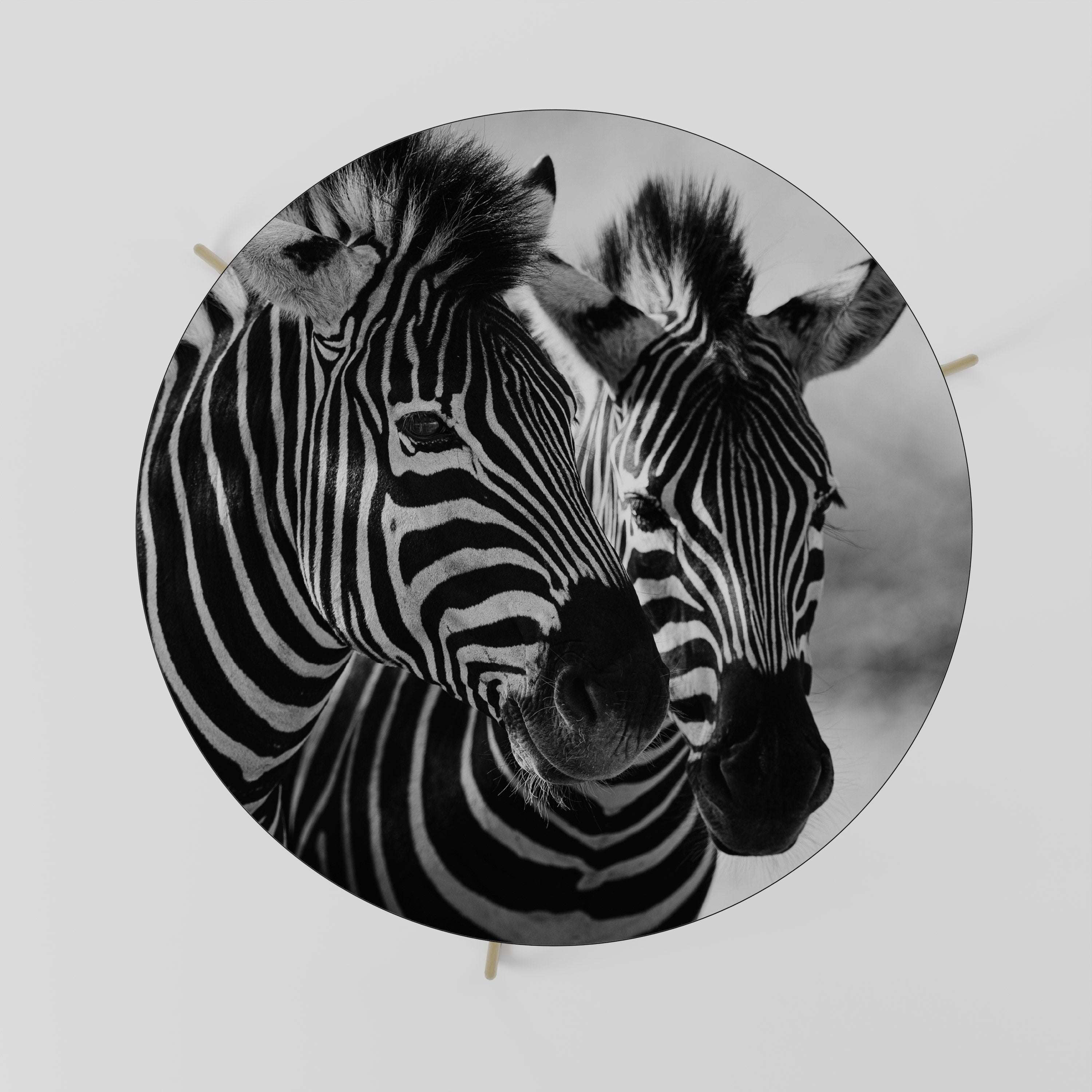 STRIPED SYMPHONY Stolik kawowy duży