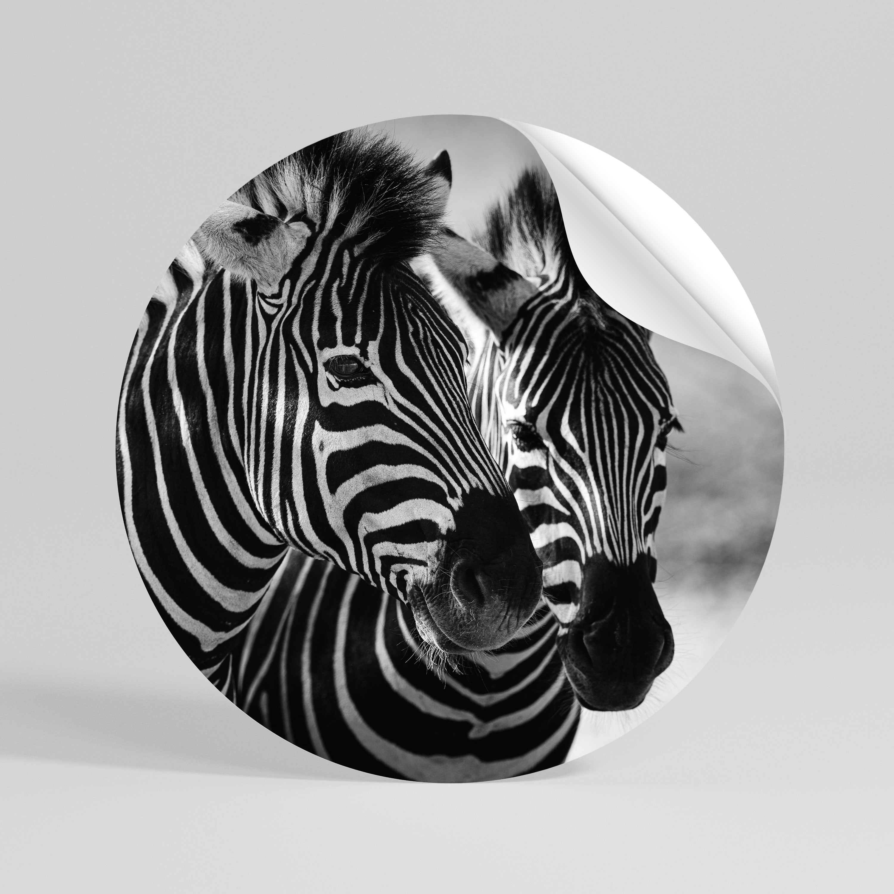 STRIPED SYMPHONY Naklejka - okrągła