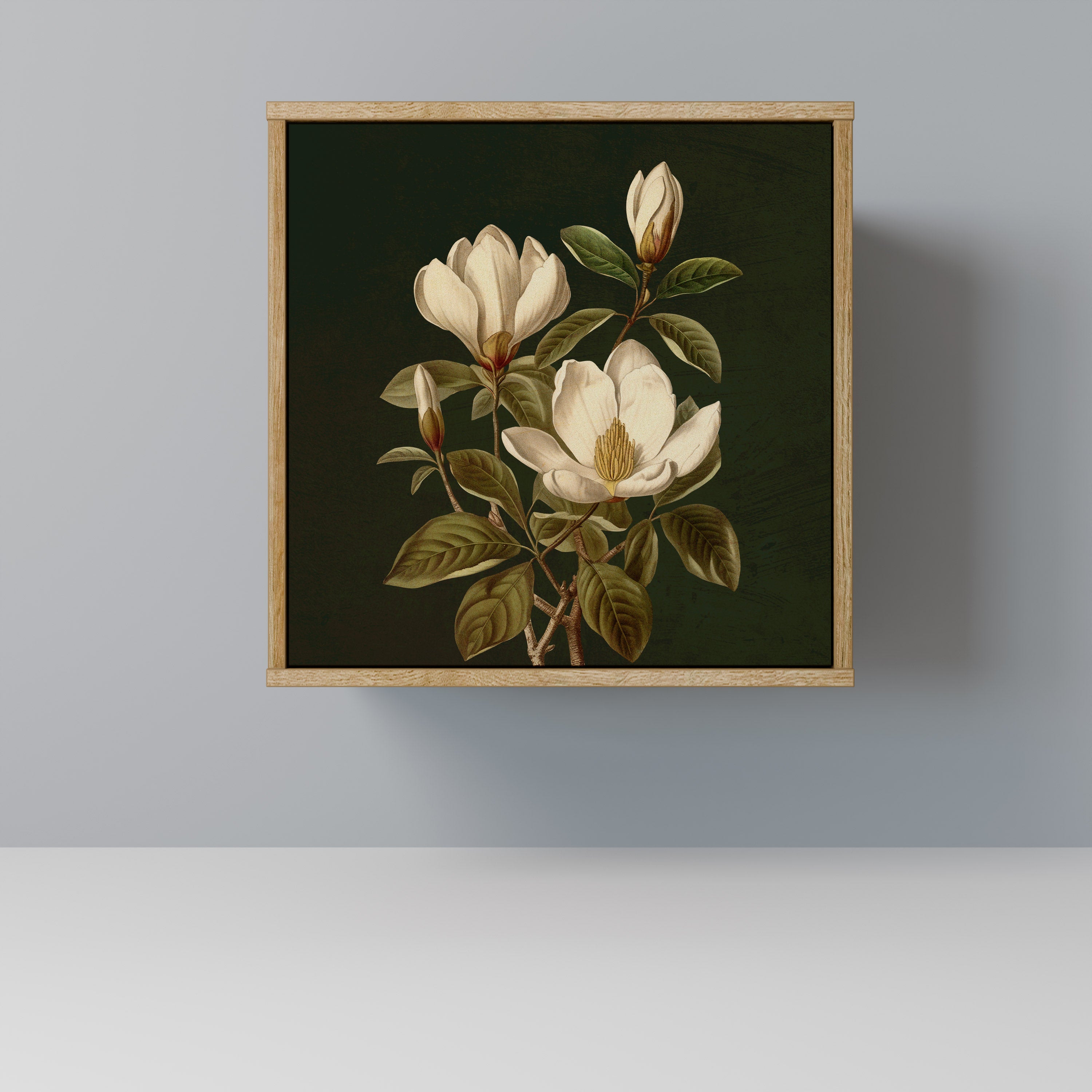 FLORAL NOIR Komoda 1-drzwiowa korpus Dąb Riva