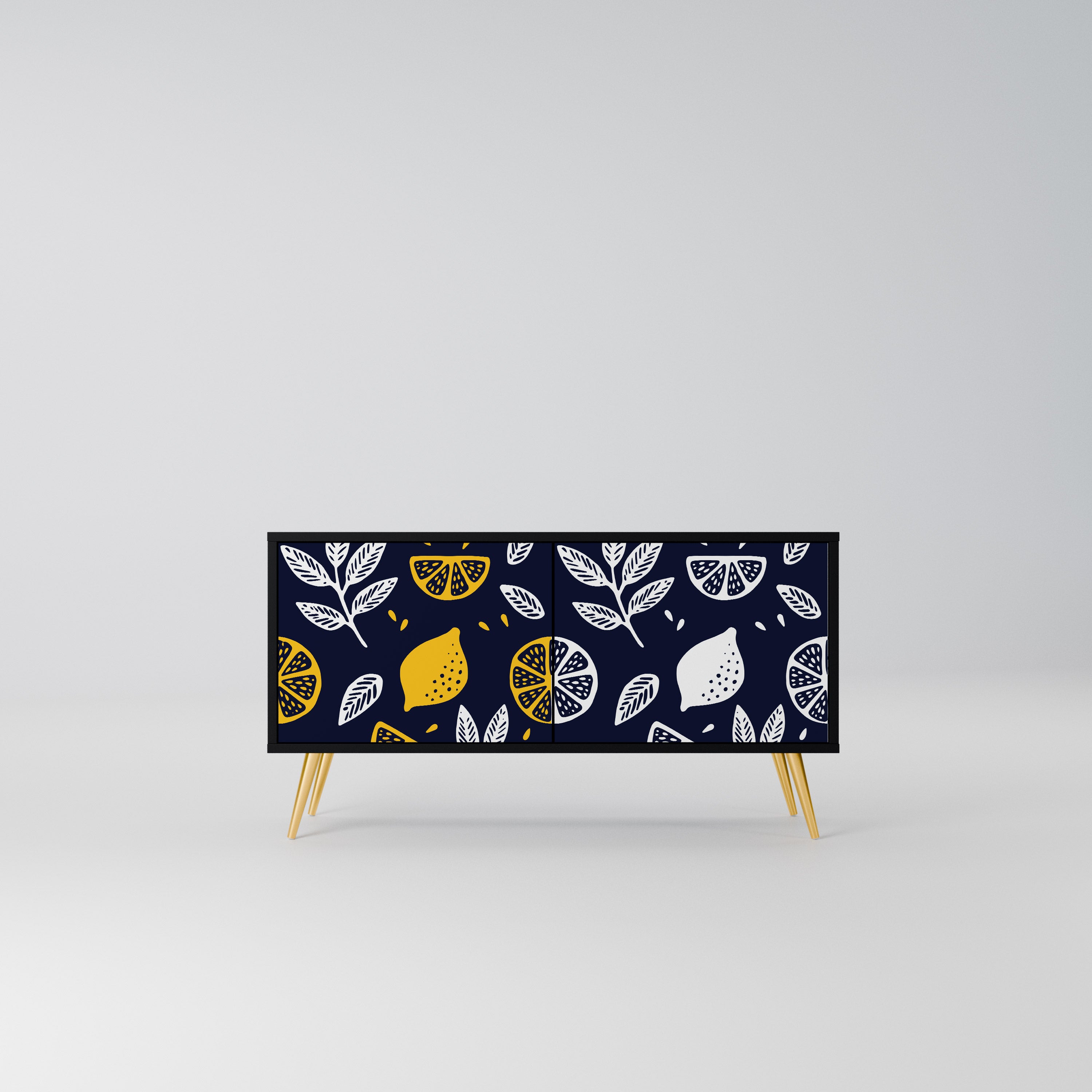 CITRUS BLACK AND WHITE Kompaktowa szafka RTV 2-drzwiowa