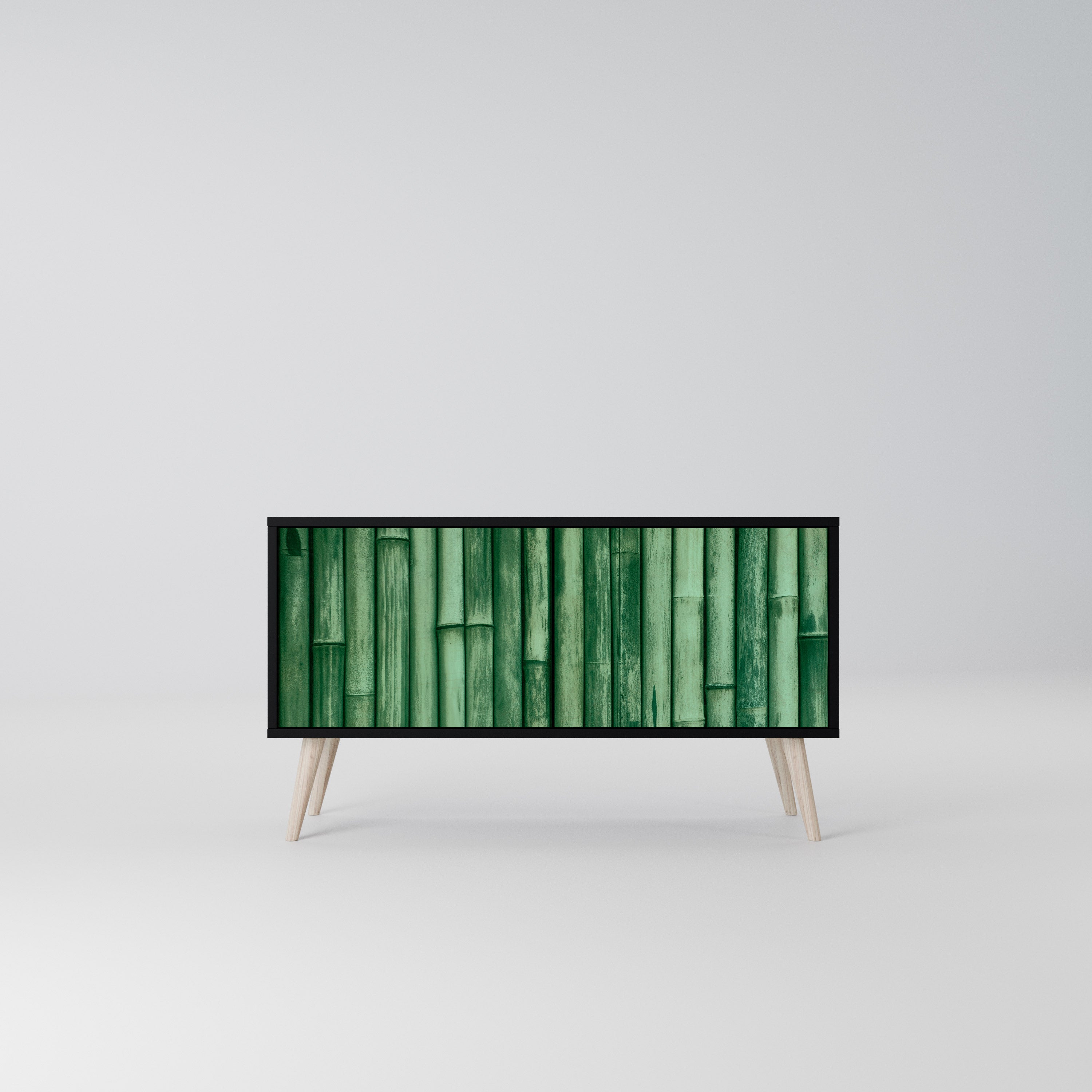 NATURAL GREEN Kompaktowa szafka RTV 2-drzwiowa