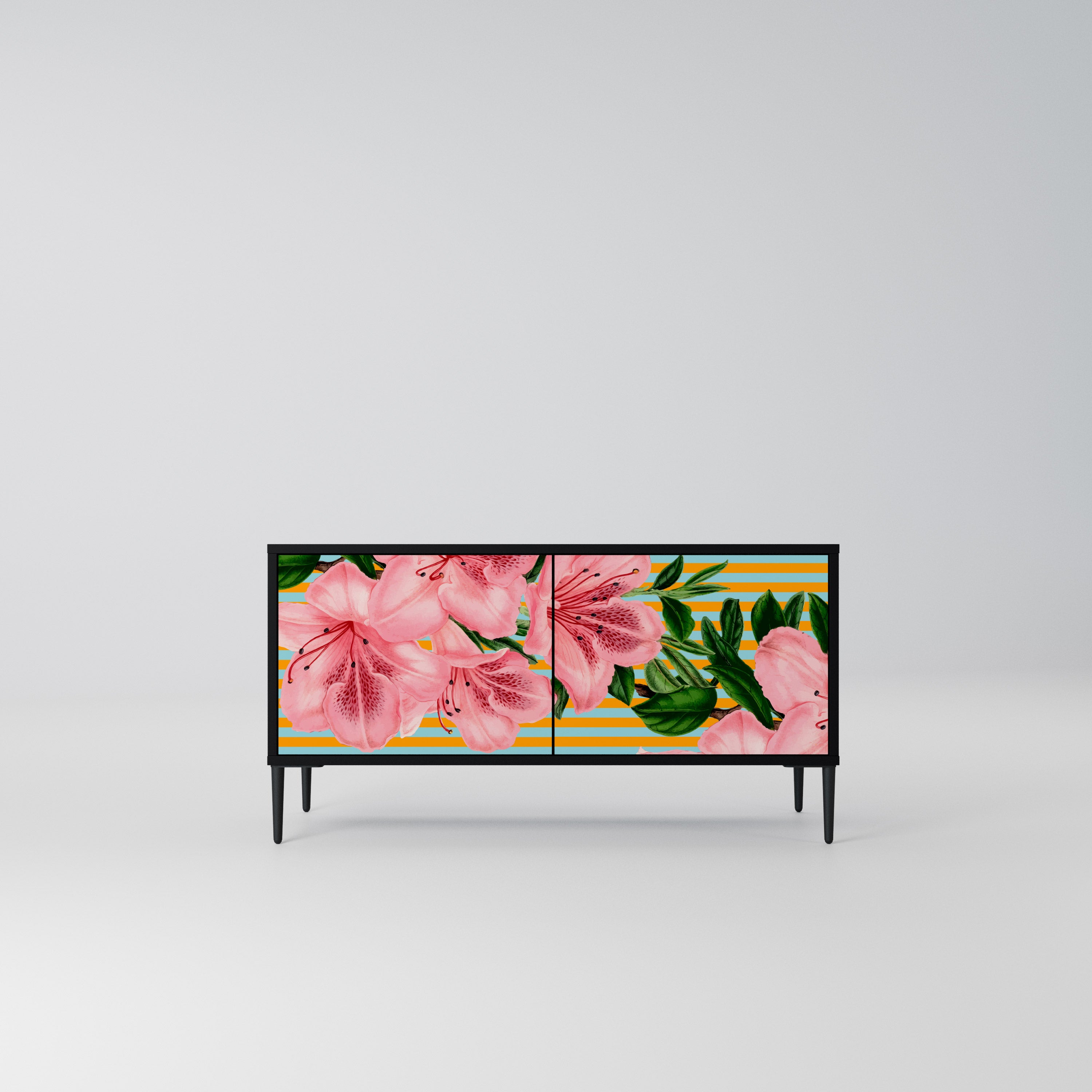 FRAGILE BEAUTY Kompaktowa szafka RTV 2-drzwiowa
