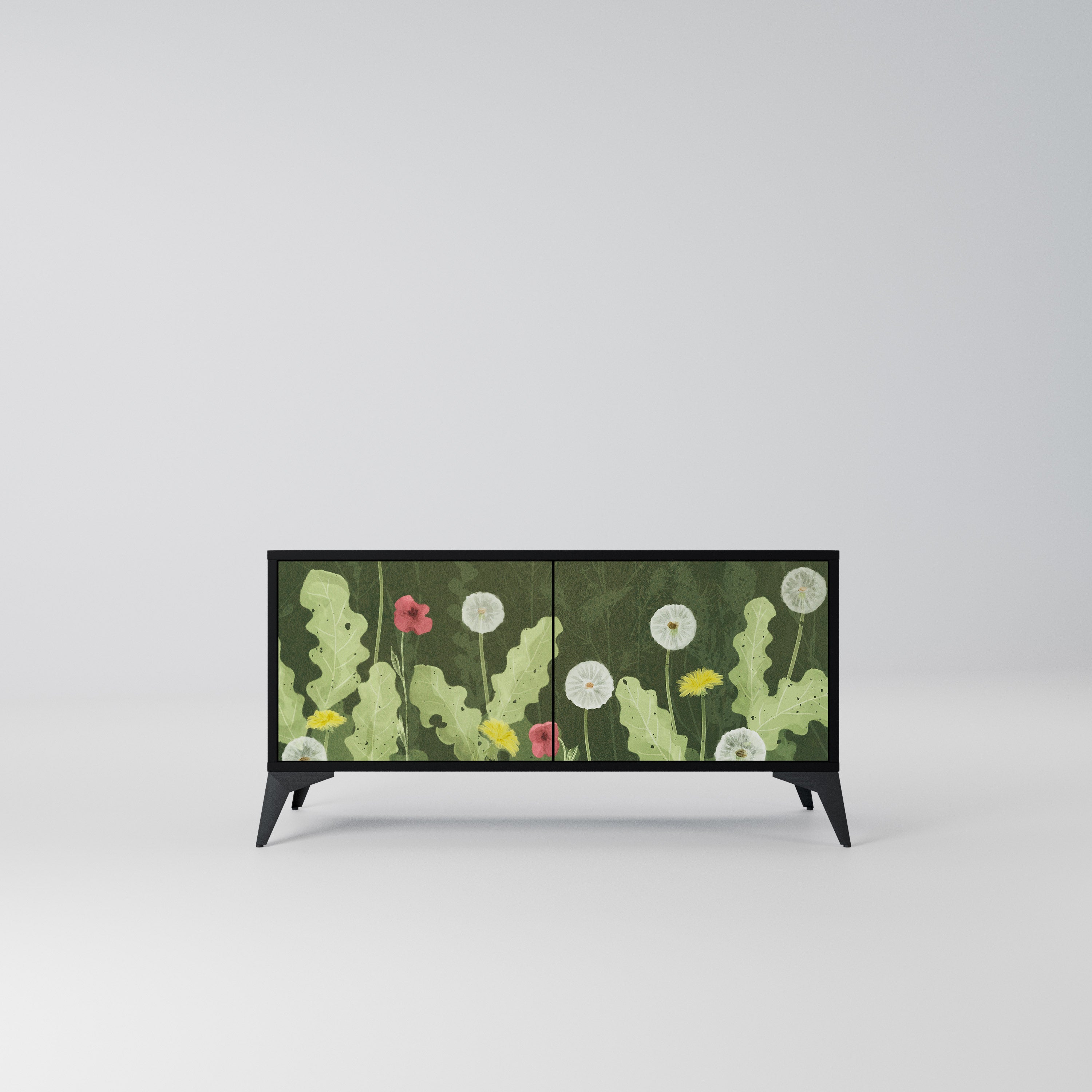 DANDELION AMUSE Kompaktowa szafka RTV 2-drzwiowa