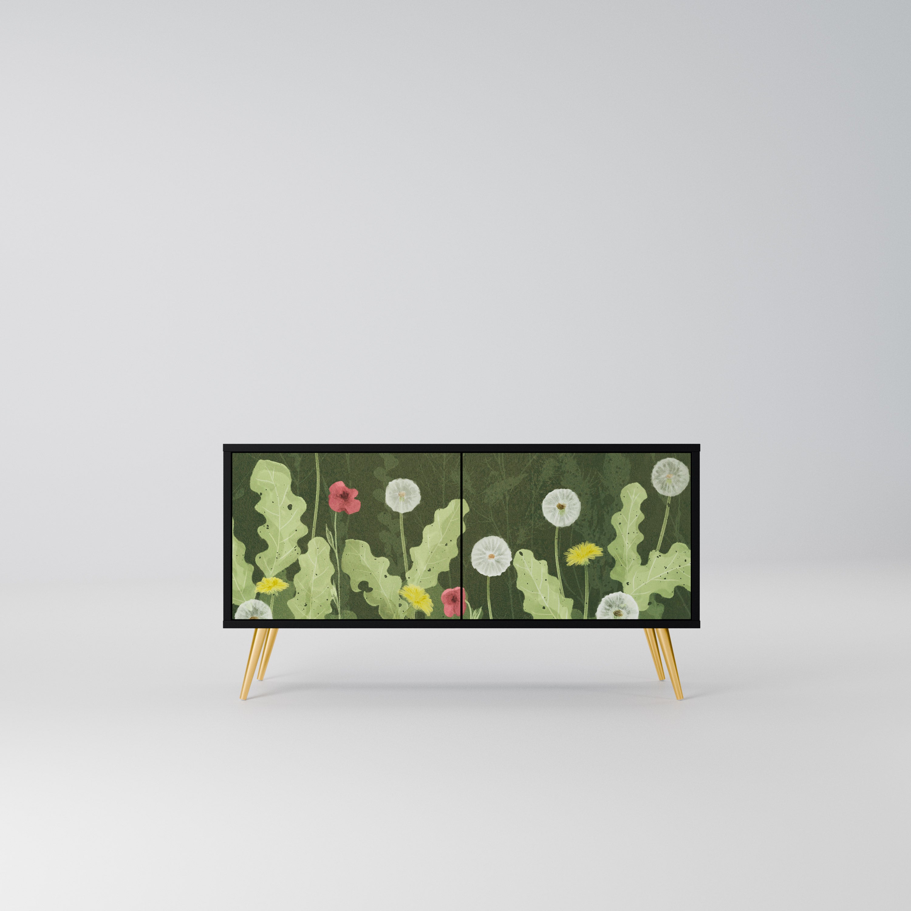 DANDELION AMUSE Kompaktowa szafka RTV 2-drzwiowa