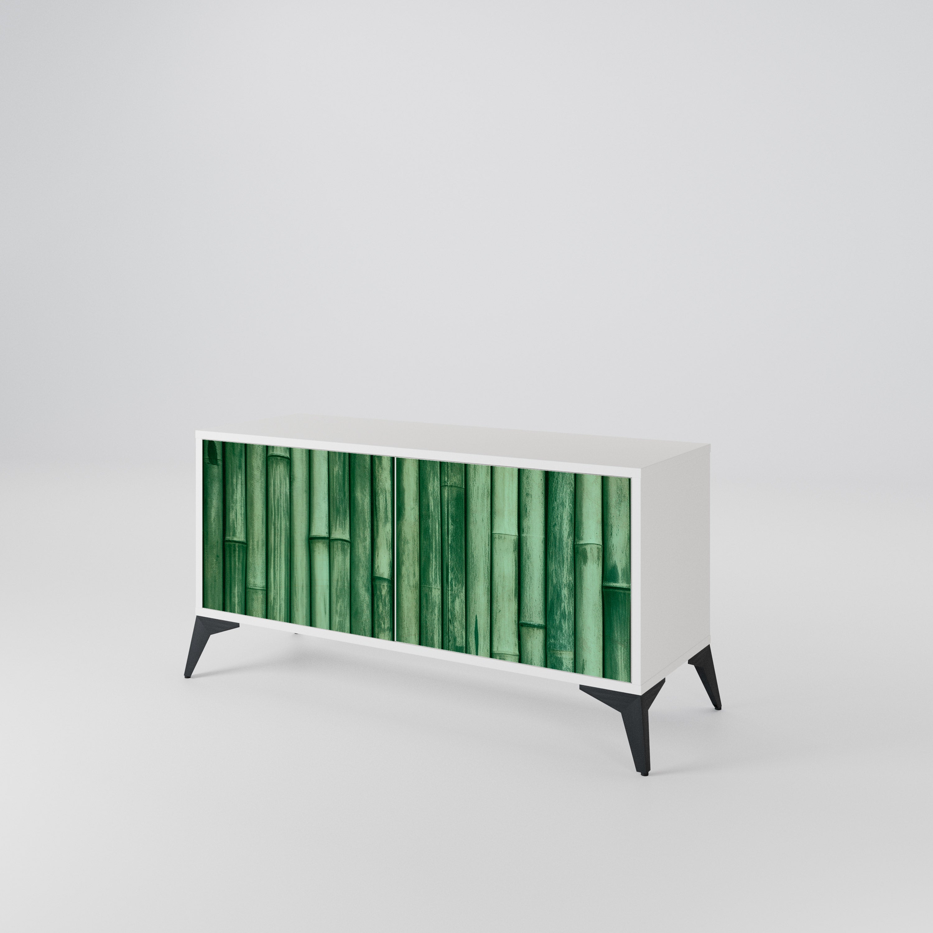 NATURAL GREEN Kompaktowa szafka RTV 2-drzwiowa