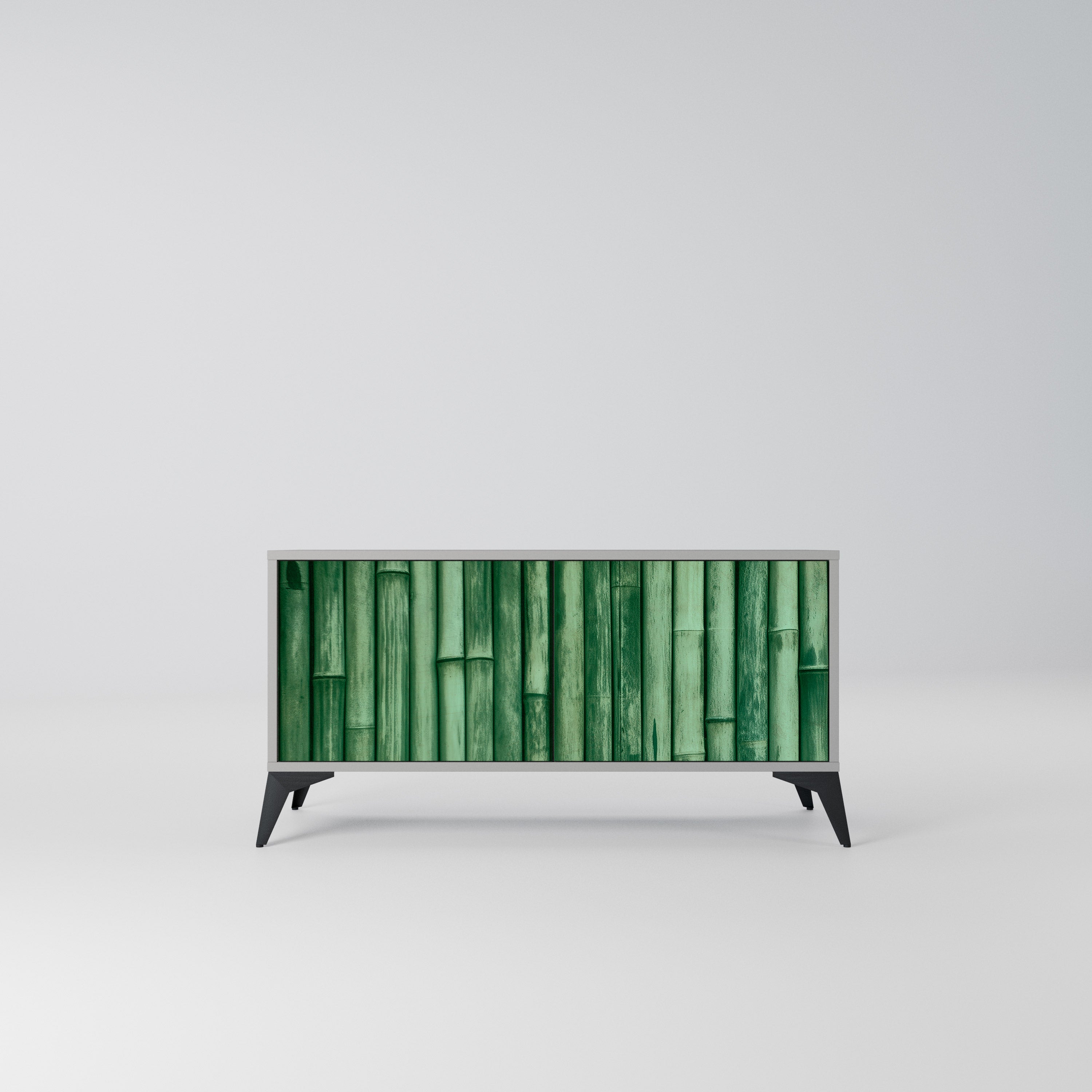 NATURAL GREEN Kompaktowa szafka RTV 2-drzwiowa