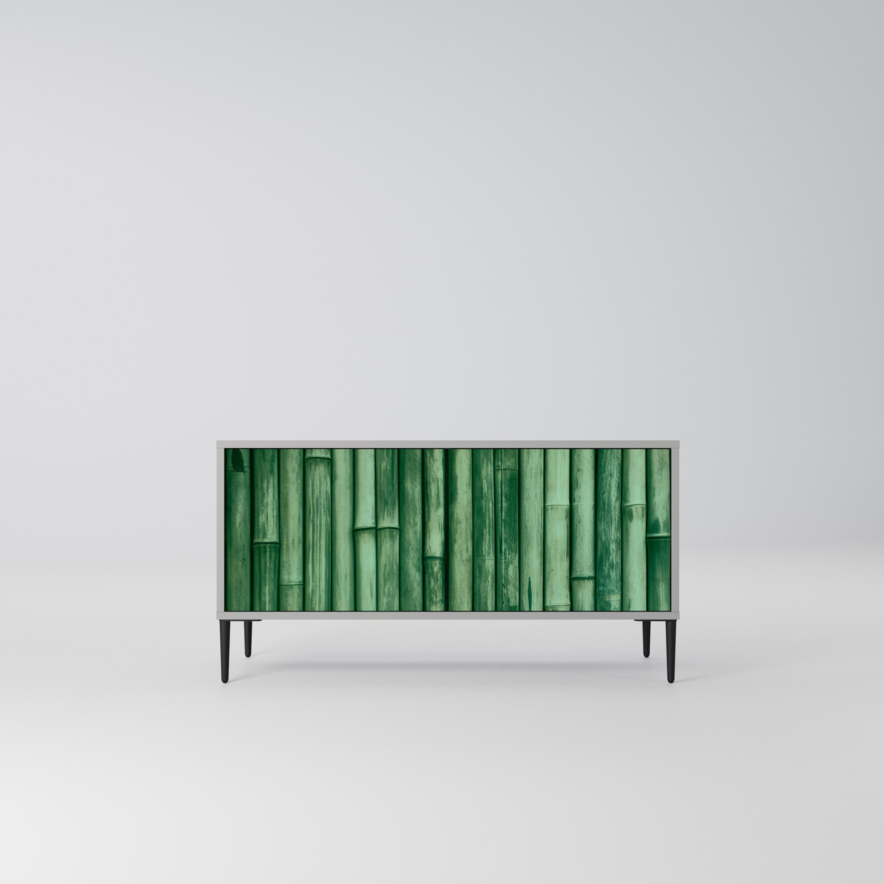 NATURAL GREEN Kompaktowa szafka RTV 2-drzwiowa