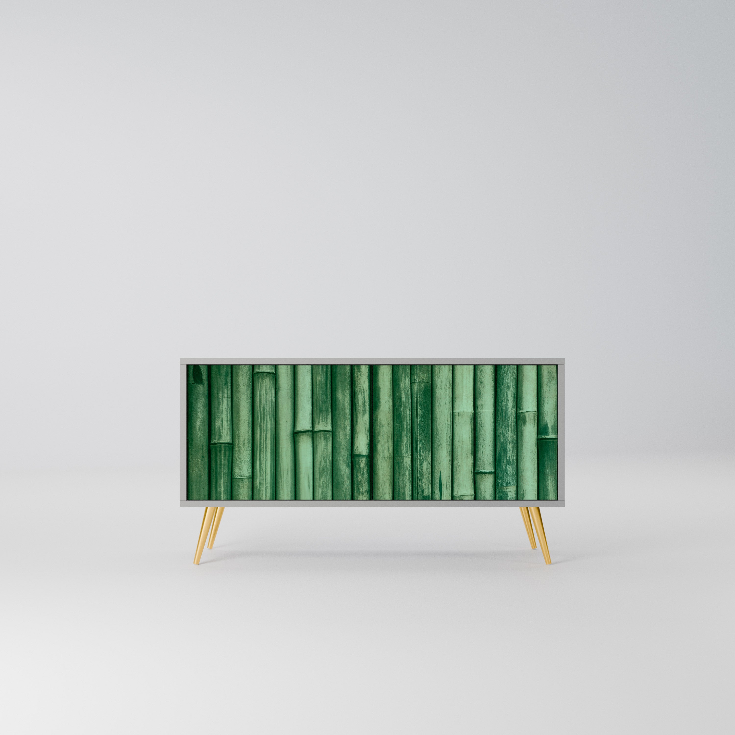 NATURAL GREEN Kompaktowa szafka RTV 2-drzwiowa