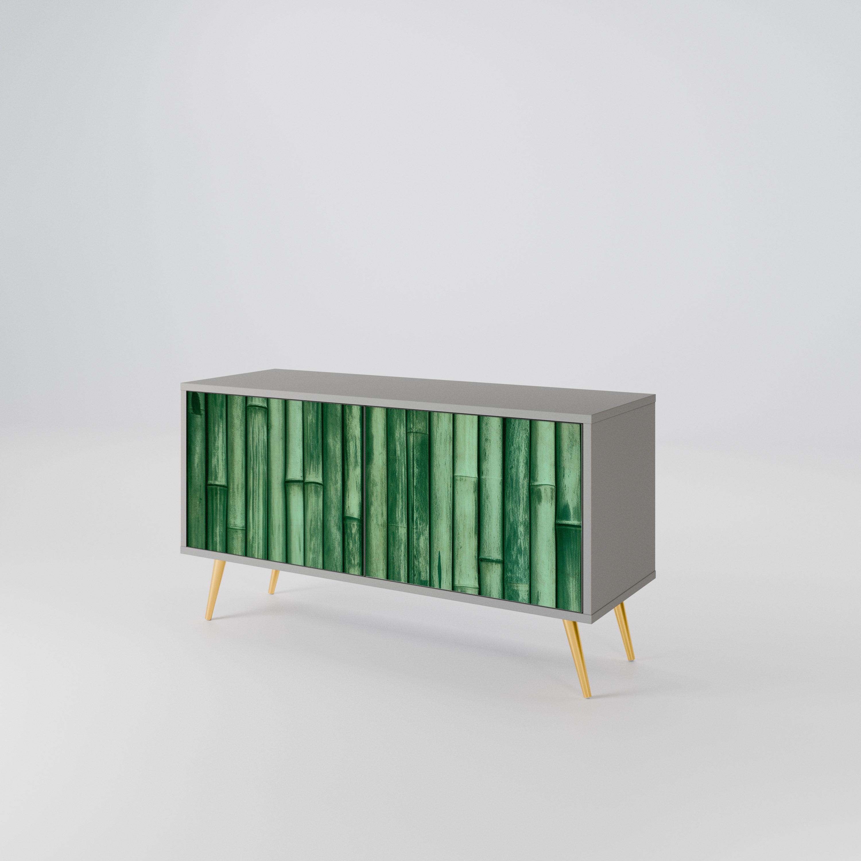 NATURAL GREEN Kompaktowa szafka RTV 2-drzwiowa