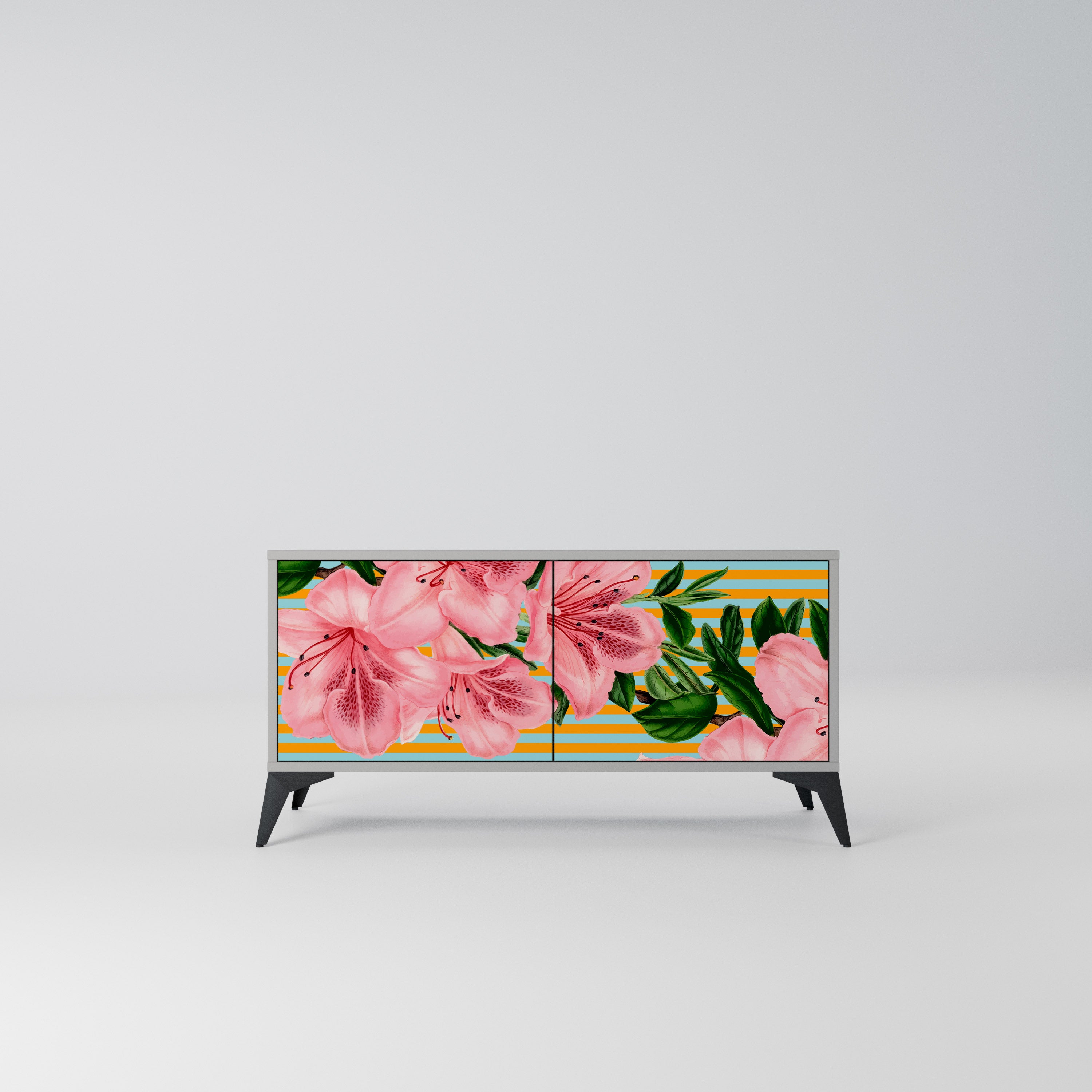 FRAGILE BEAUTY Kompaktowa szafka RTV 2-drzwiowa