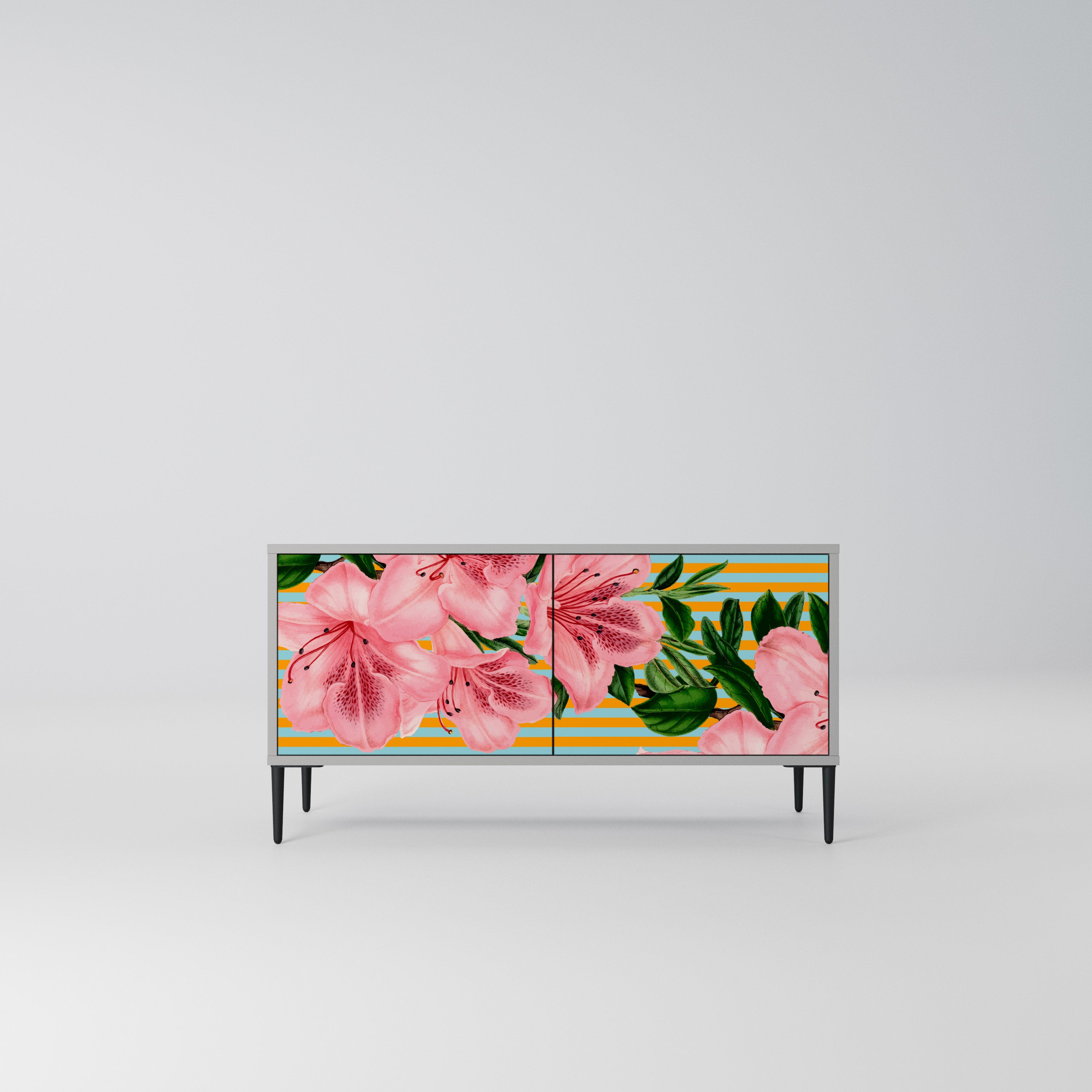 FRAGILE BEAUTY Kompaktowa szafka RTV 2-drzwiowa