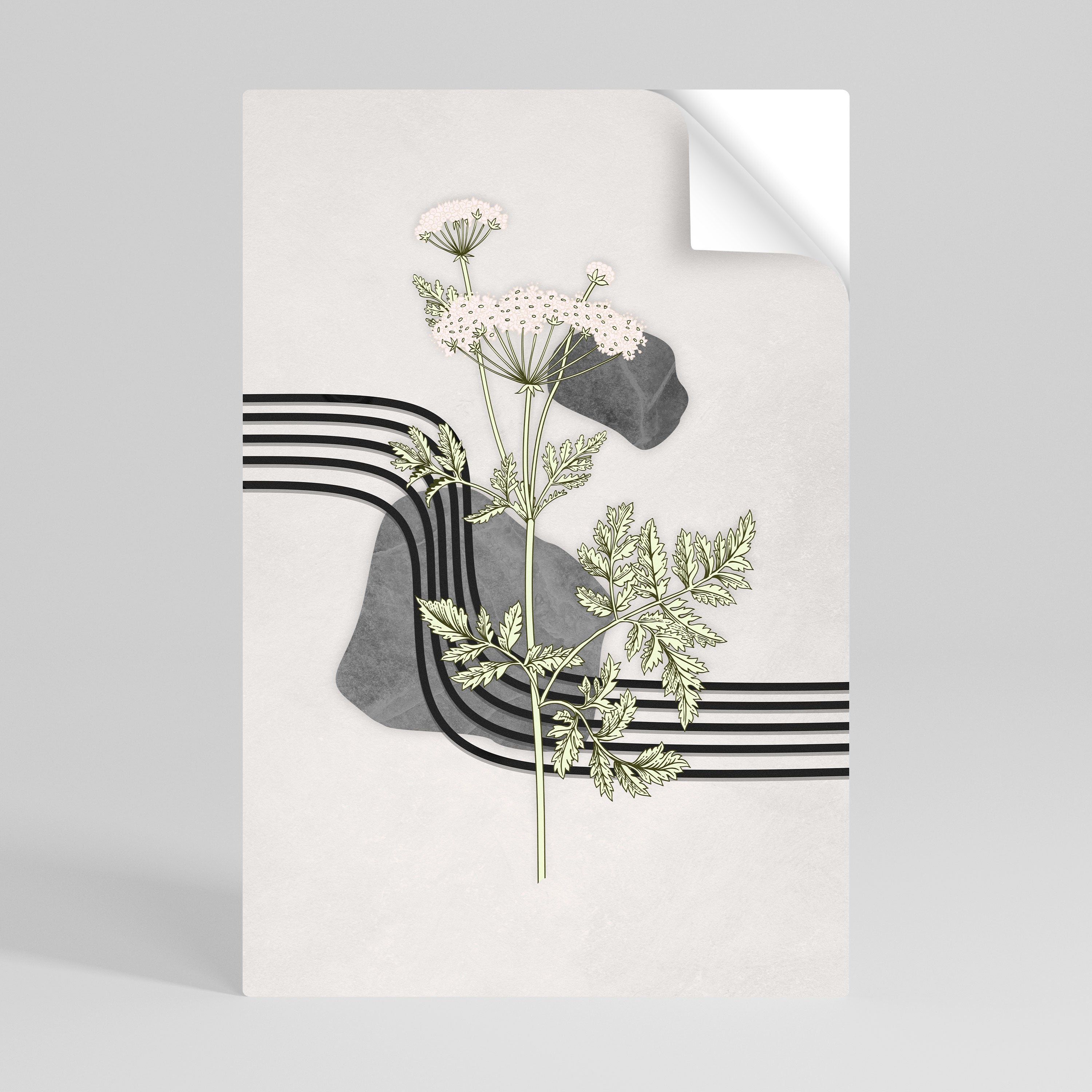 HERACLEUM ARRAY Naklejka/Plakat pionowy