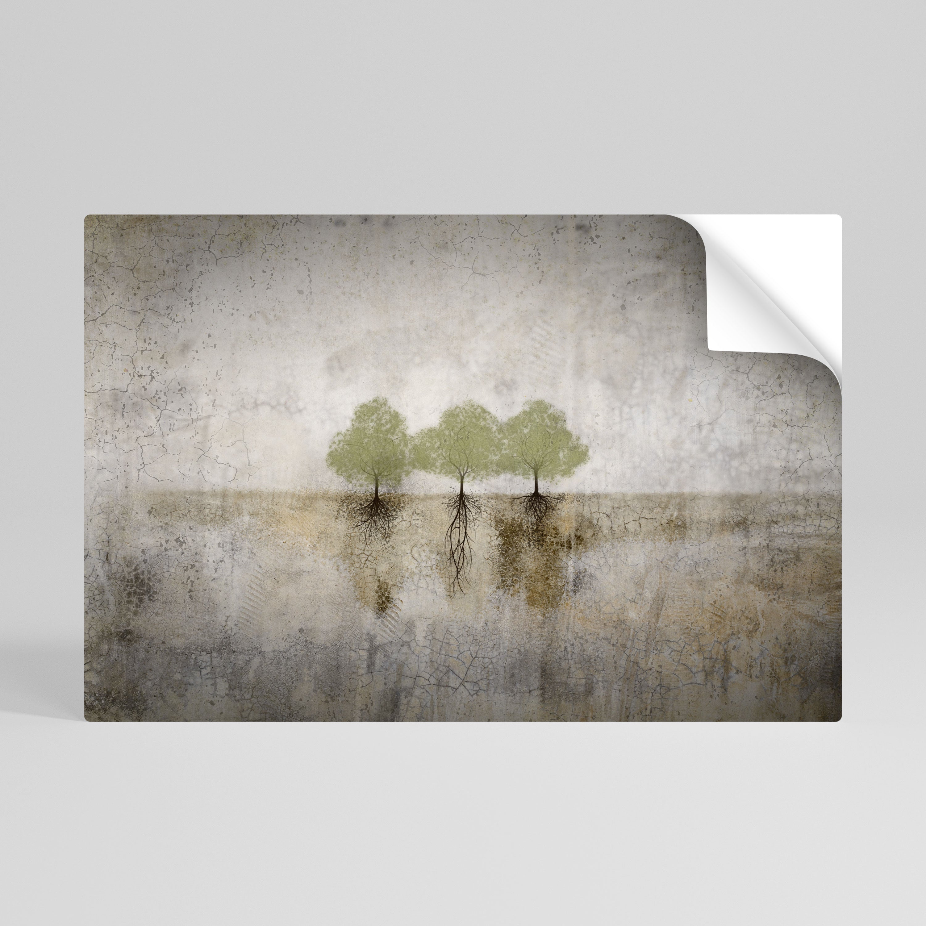 ROOTS OF TIME Naklejka/Plakat poziomy