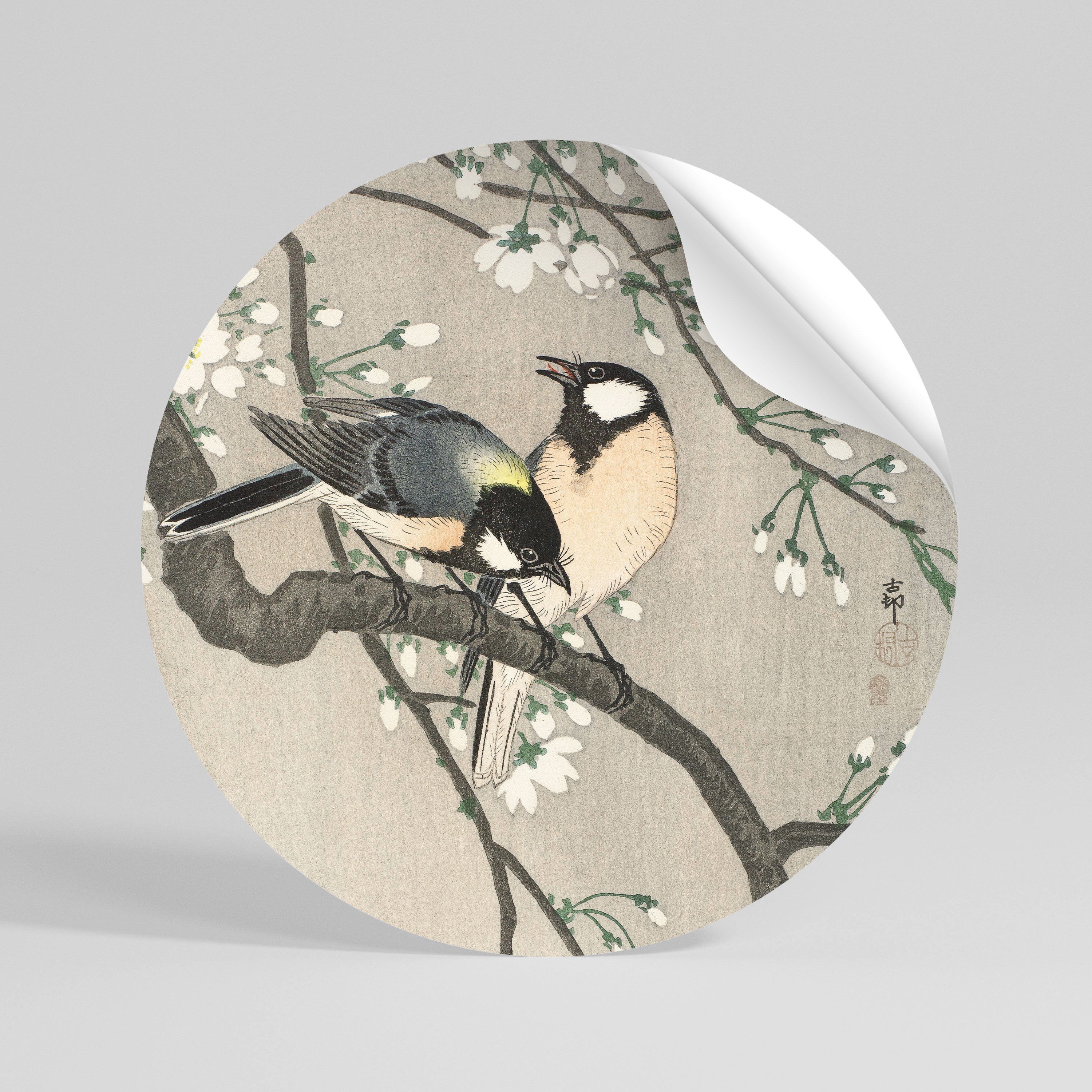 TITS ON CHERRY BRANCH Naklejka - okrągła