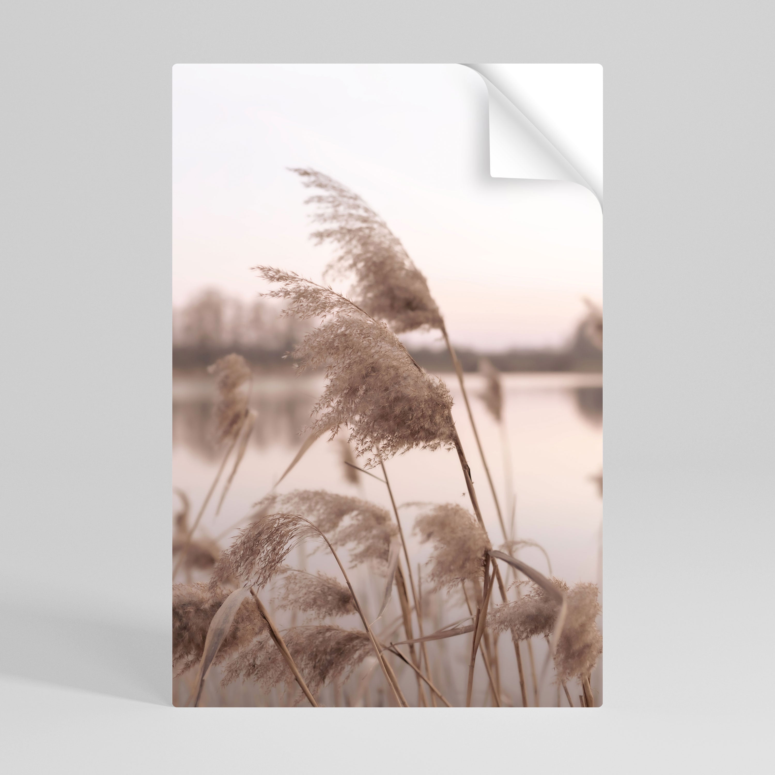 GENTLE BREEZE Naklejka/Plakat pionowy