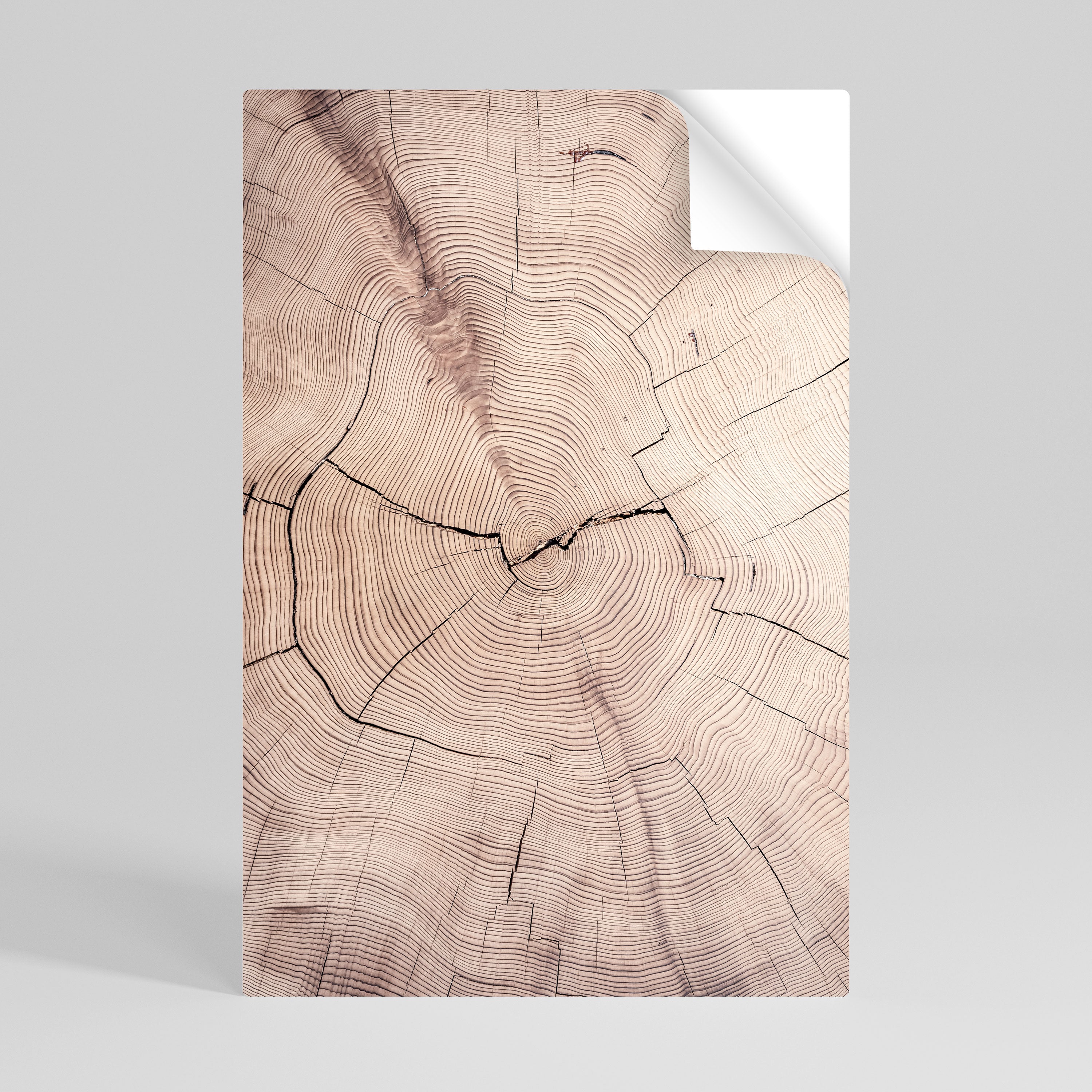 TIMEWORN RHYTHM Naklejka/Plakat pionowy