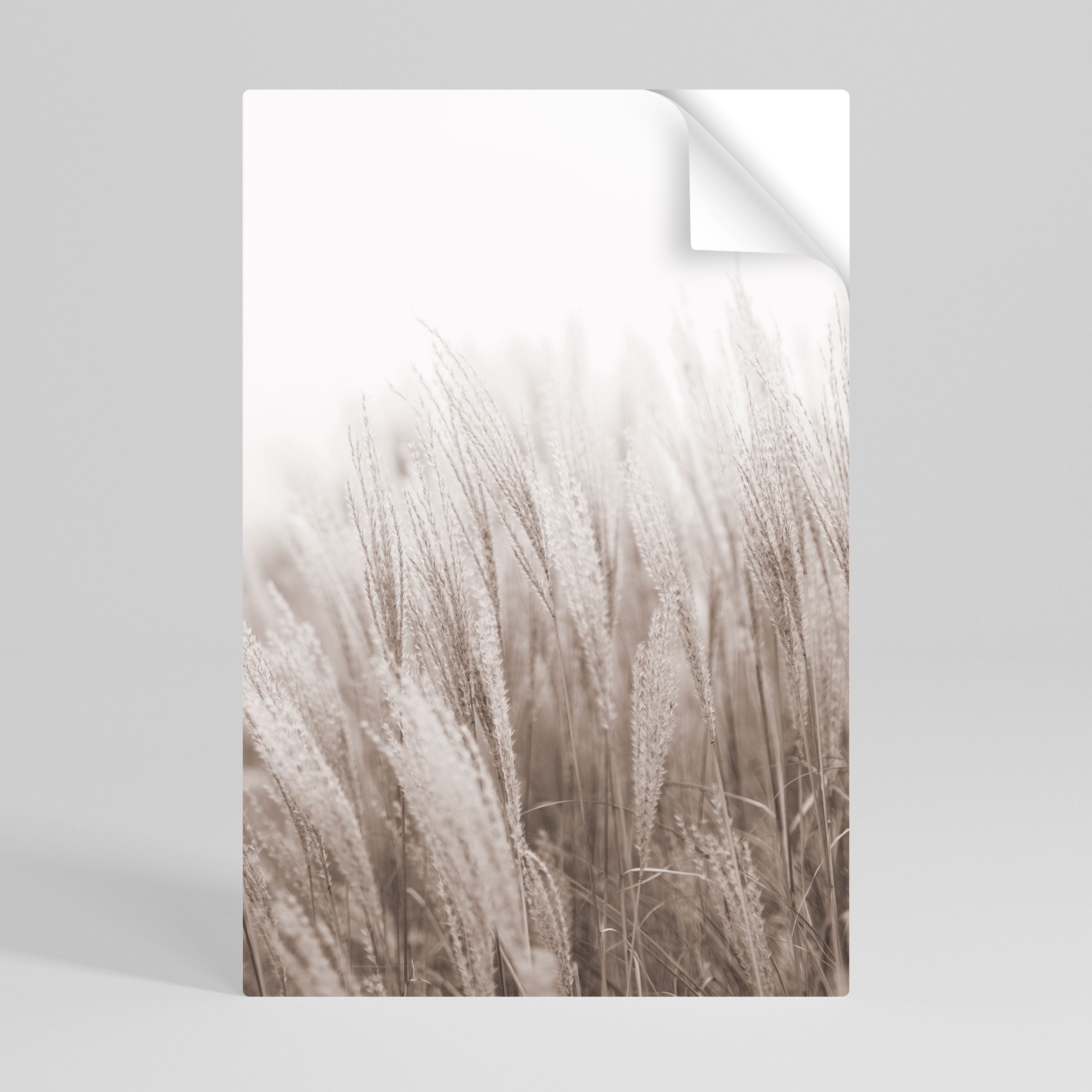 WHISPERS OF GRASS Naklejka/Plakat pionowy