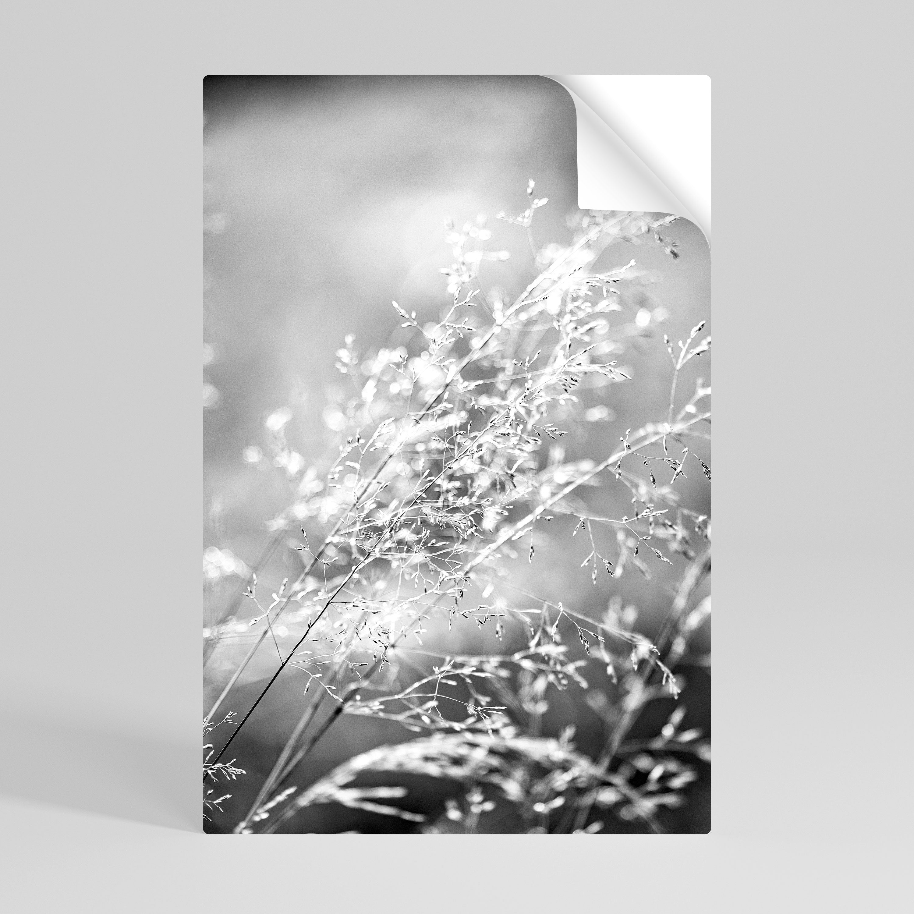 LIGHTSWEPT HARMONY Naklejka/Plakat pionowy