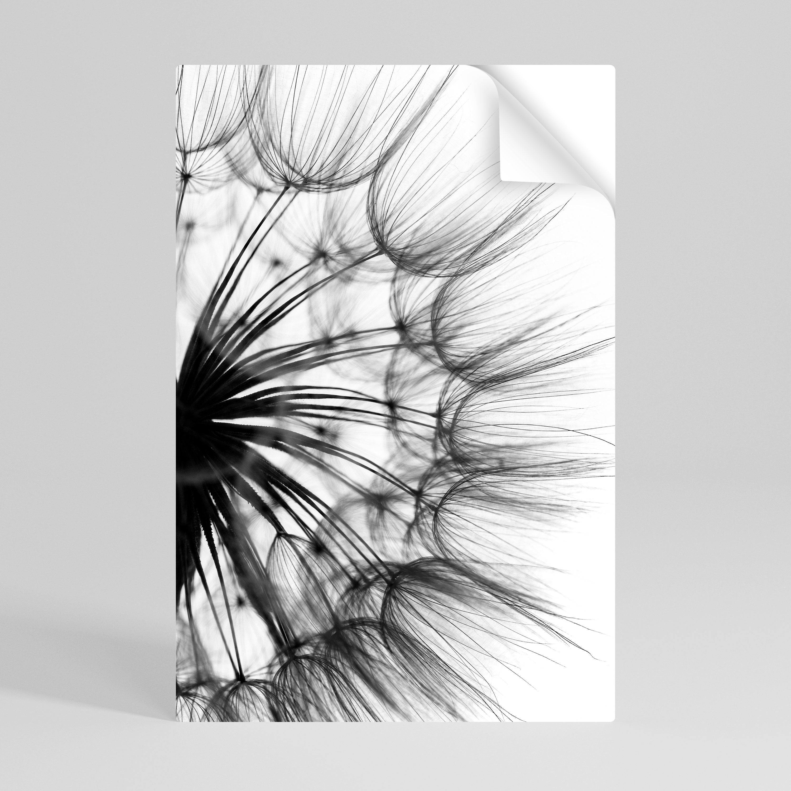 WHISPERING WILDFLOWER Naklejka/Plakat pionowy