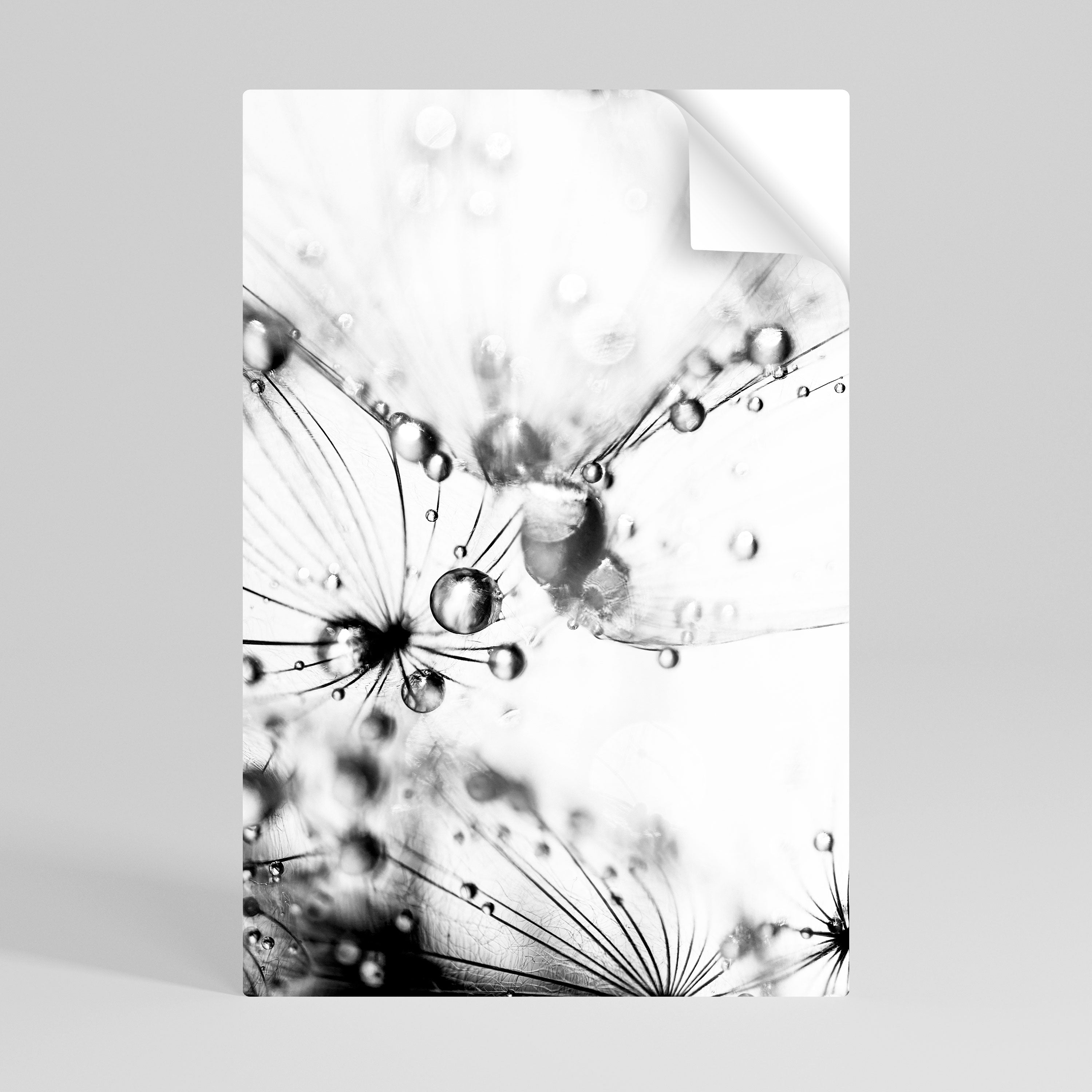 ELEGANT DROPLETS Naklejka/Plakat pionowy