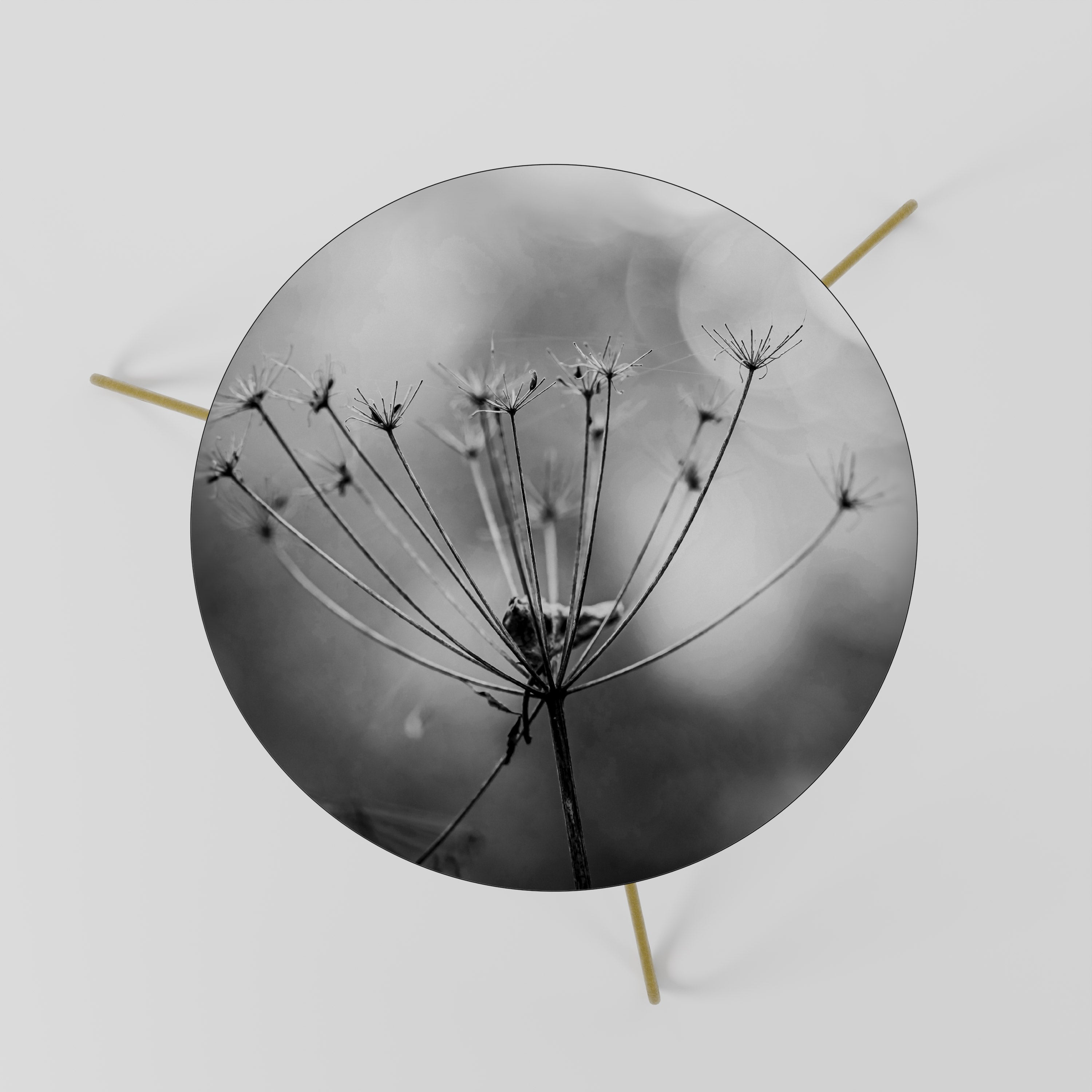 MINIMALIST BLOOM Stolik kawowy mały