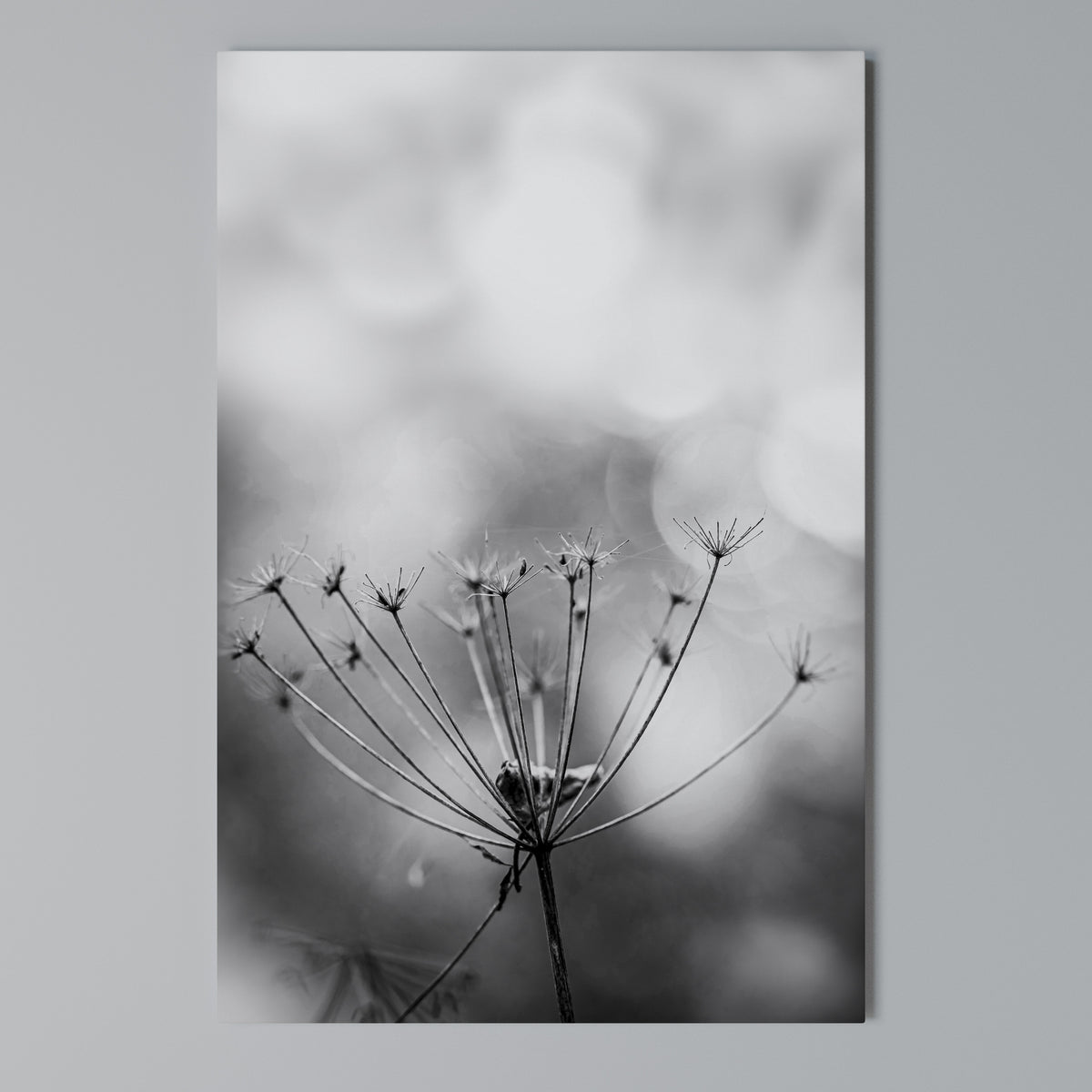 MINIMALIST BLOOM Pionowy obraz na płótnie