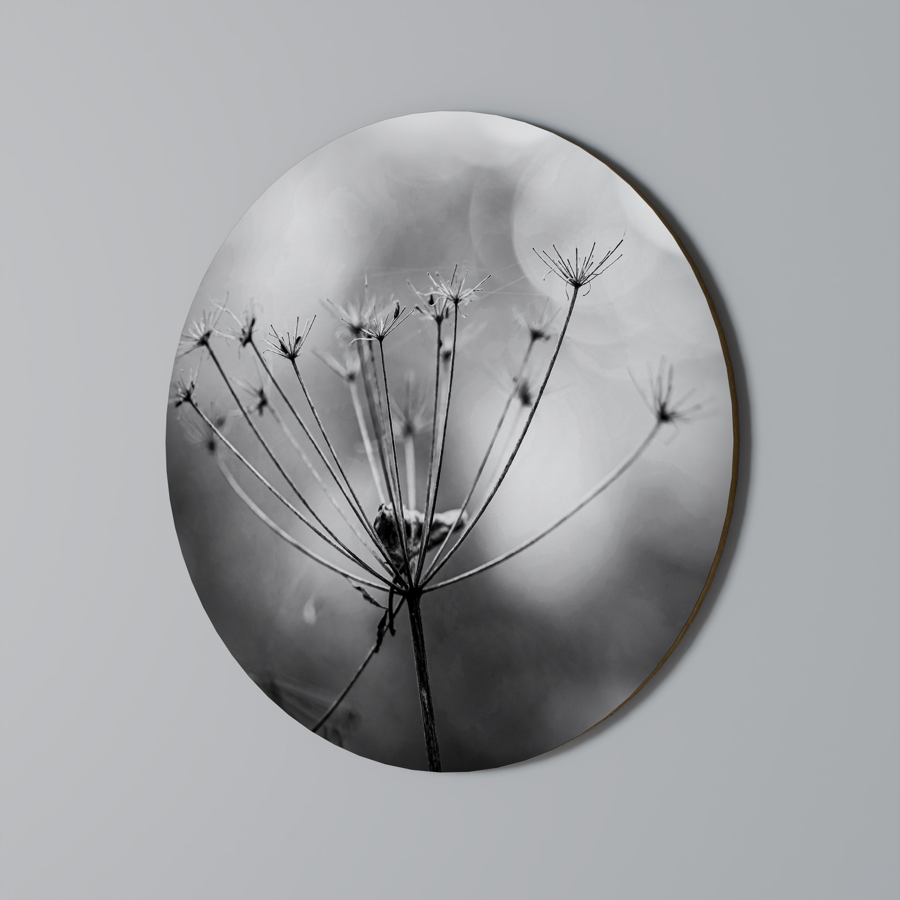 MINIMALIST BLOOM Obraz okrągły