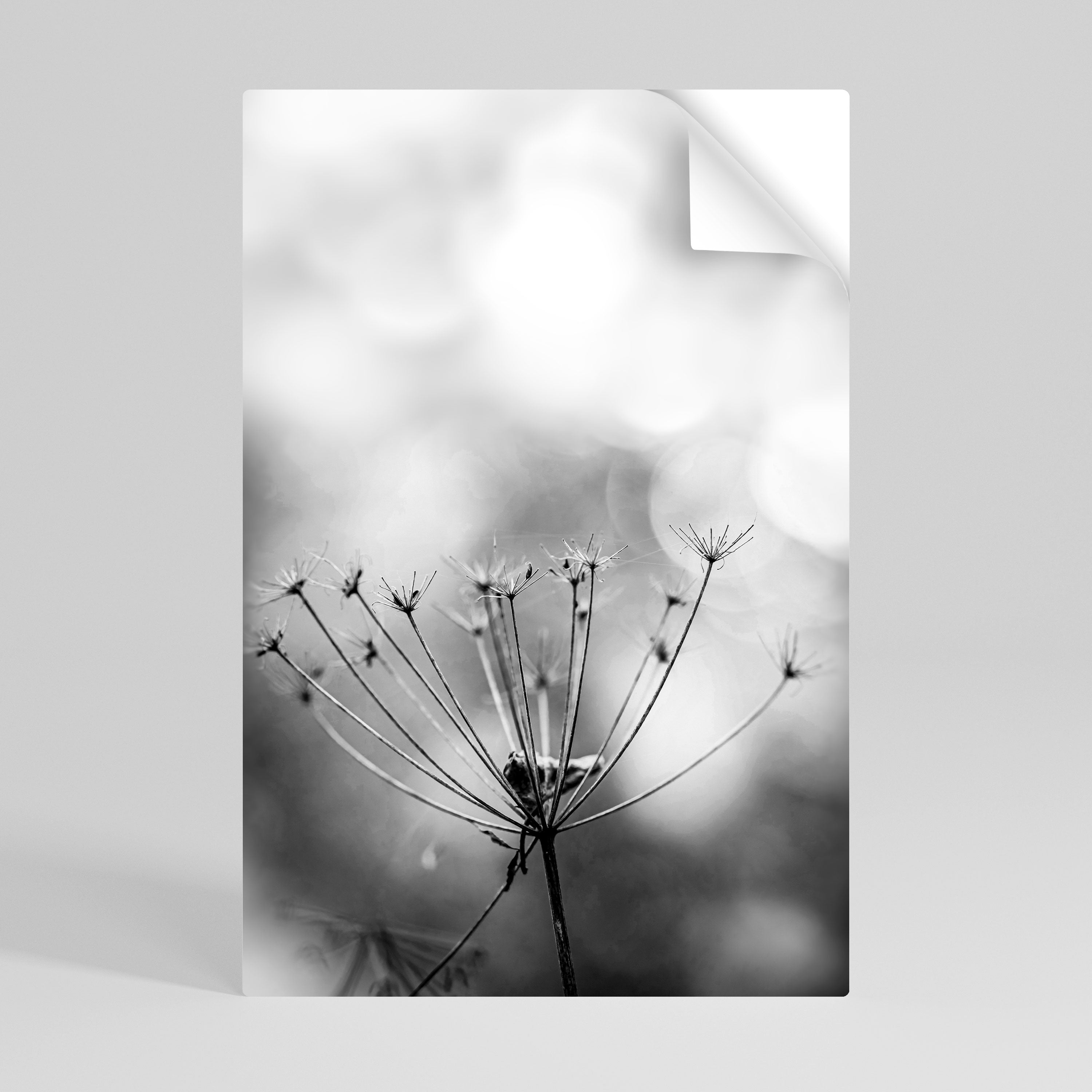 MINIMALIST BLOOM Naklejka/Plakat pionowy